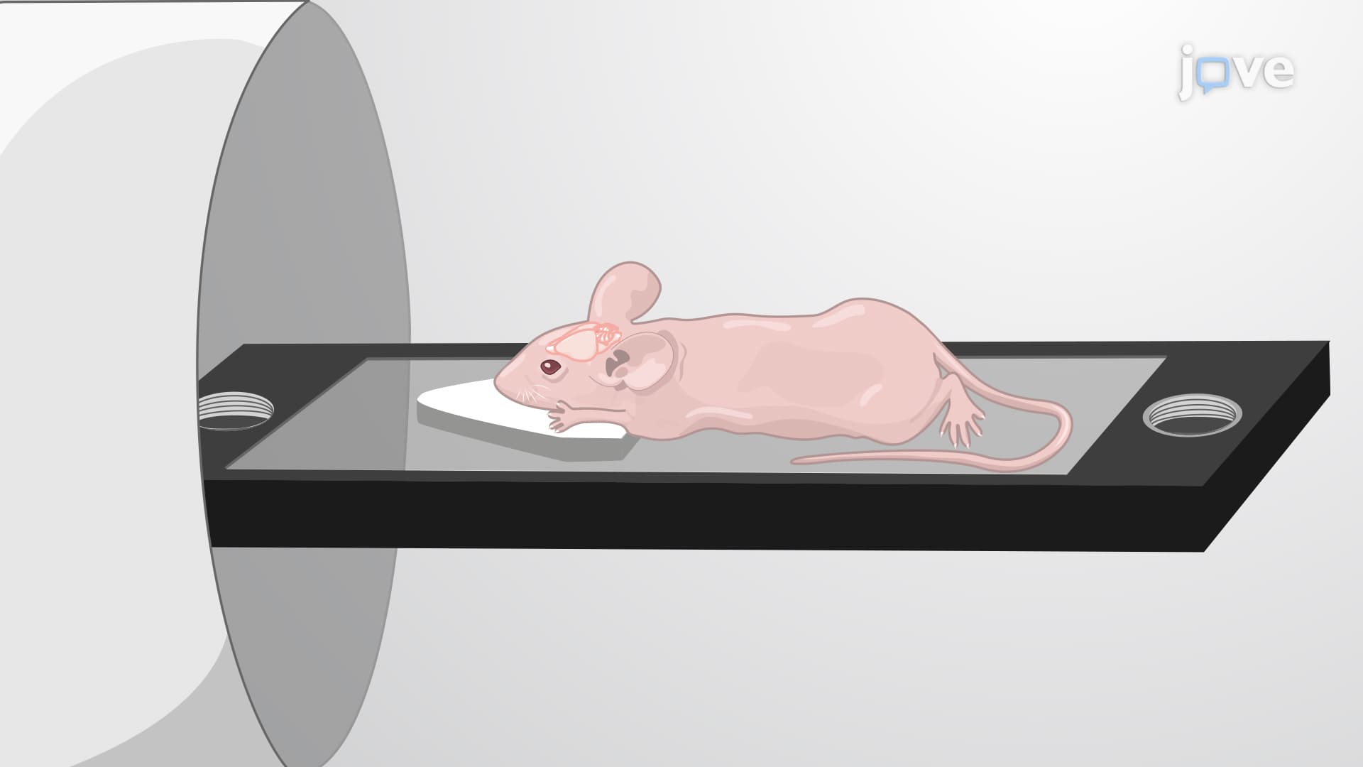 Fluorescence Molecular Tomography: An Imaging Technique for In Vivo Imaging of Fluorescent Protein-tagged Glioblastoma Xenografts in Mouse Model