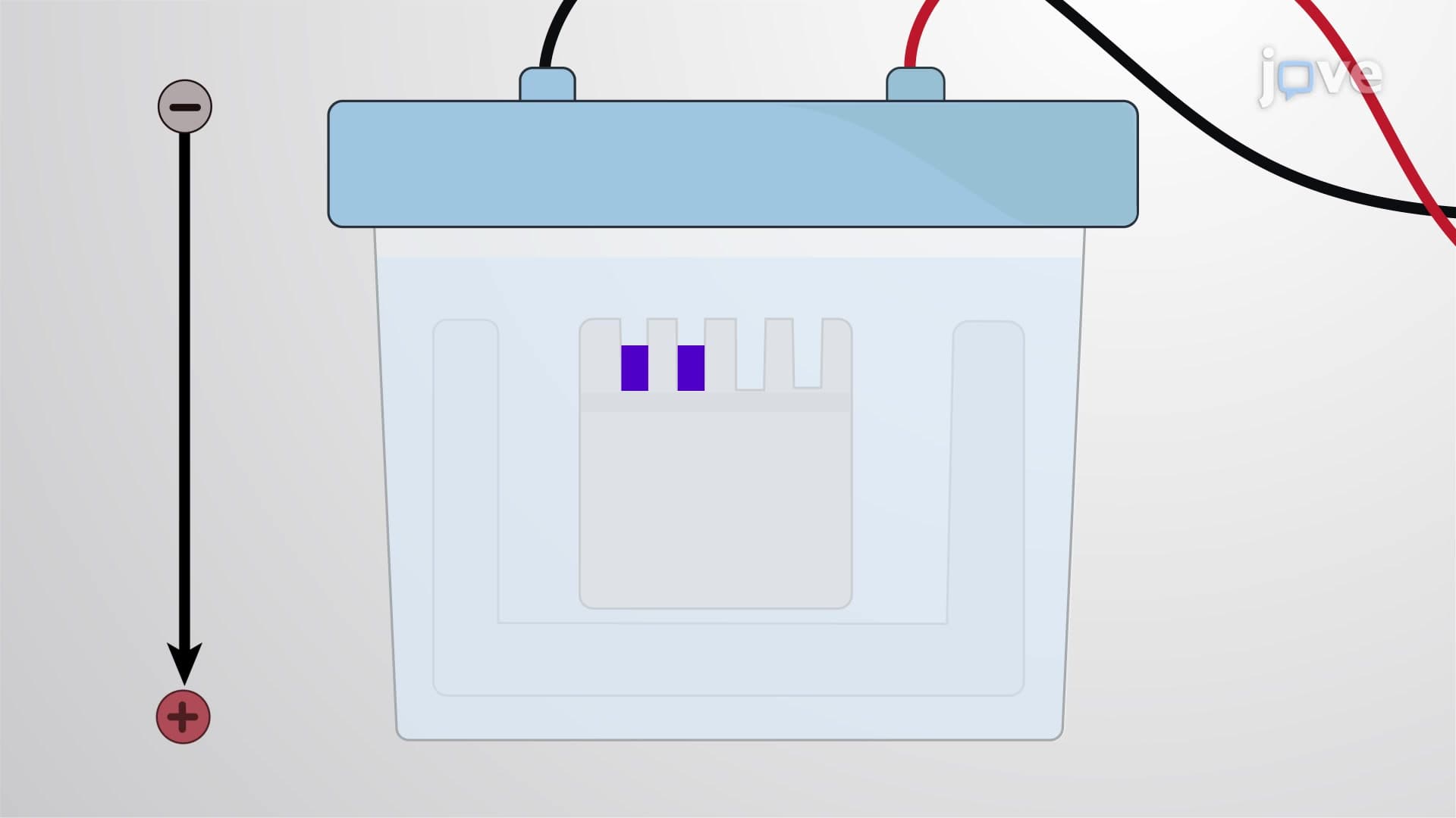 Fluorescent Peptide Zymography: A Modified Technique to Detect Protease Activity Using Fluorogenic Substrates in Zymogram Gels