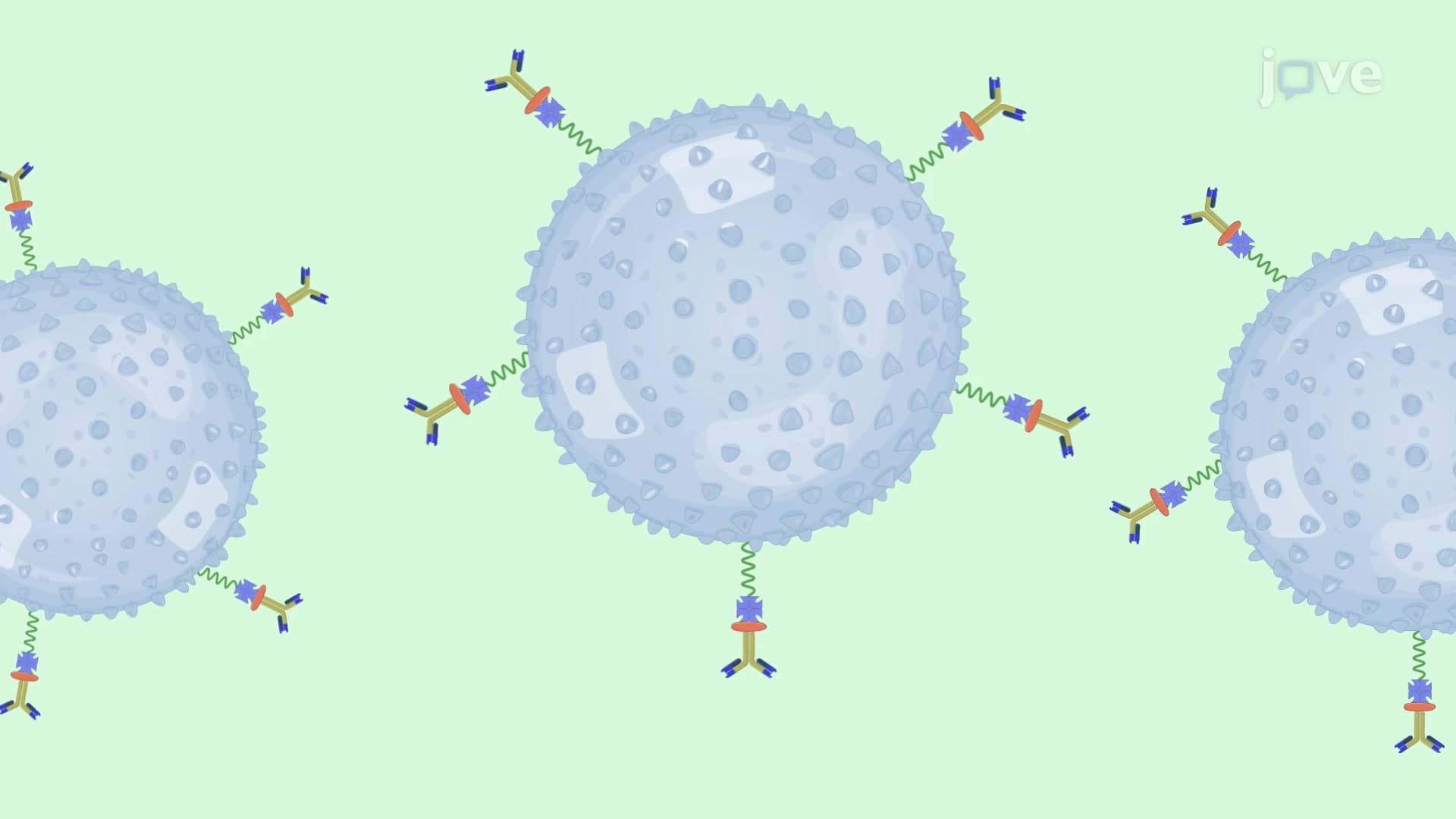 Injection of Microbubbles into Isolated Mouse Embryos: A Technique to Deliver Microbubble Contrast Agents into the Vasculature of Living Murine Embryos