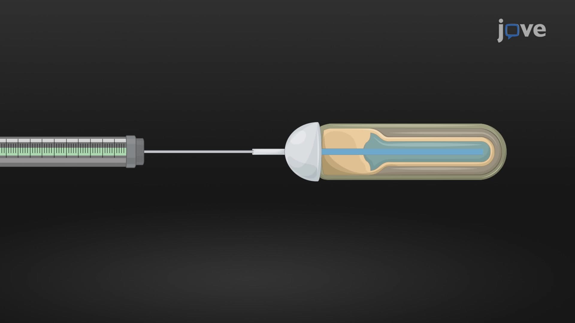 Continuous Drug Infusion System in Mouse Model: A Surgical Procedure to Implant Micro-osmotic Pump Infusion System in the Mouse Brain for Continuous Drug Delivery