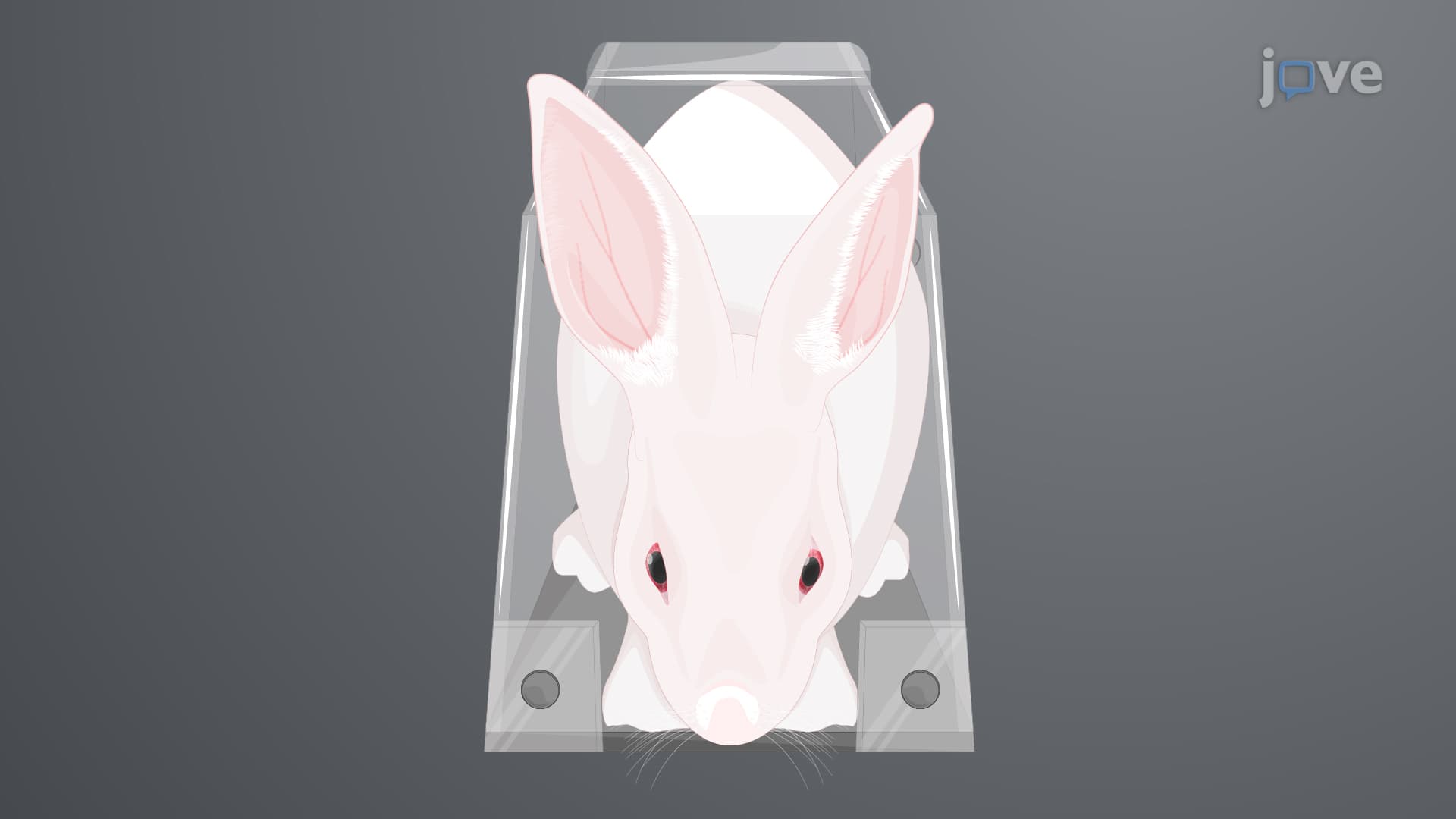 Prepping Conscious Rabbit Model for Simultaneous Video-EEG-ECG-Oximetry-Capnography for Experimental Interventions: A Procedure to Implant EEE-ECG Electrodes and Attach Respiratory Probes in Rabbit Model