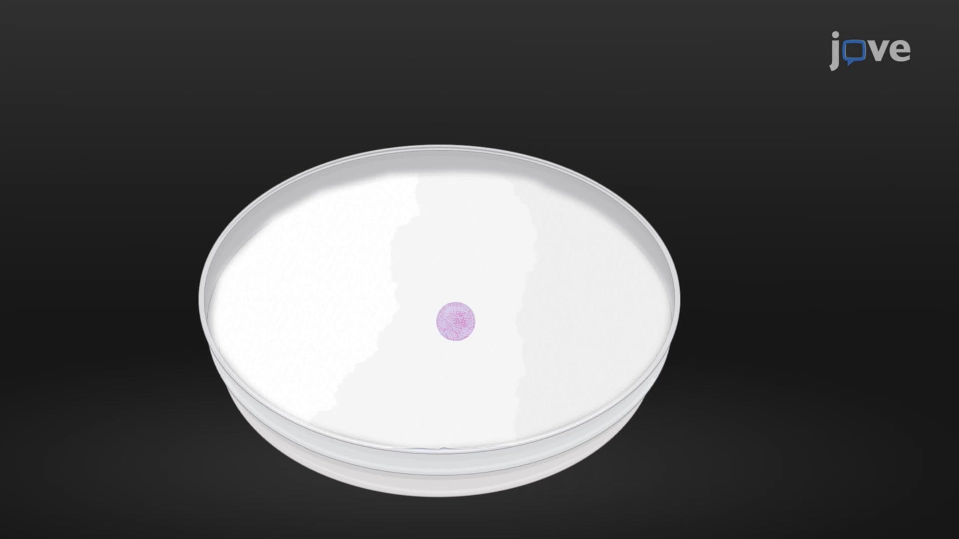 Liquid Marble Microbioreactor System: A 3D Culture Protocol for Encapsulation of Porcine Oocytes