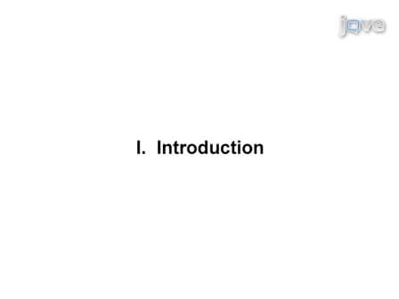 Generation of Transgenic C. elegans by Biolistic Transformation