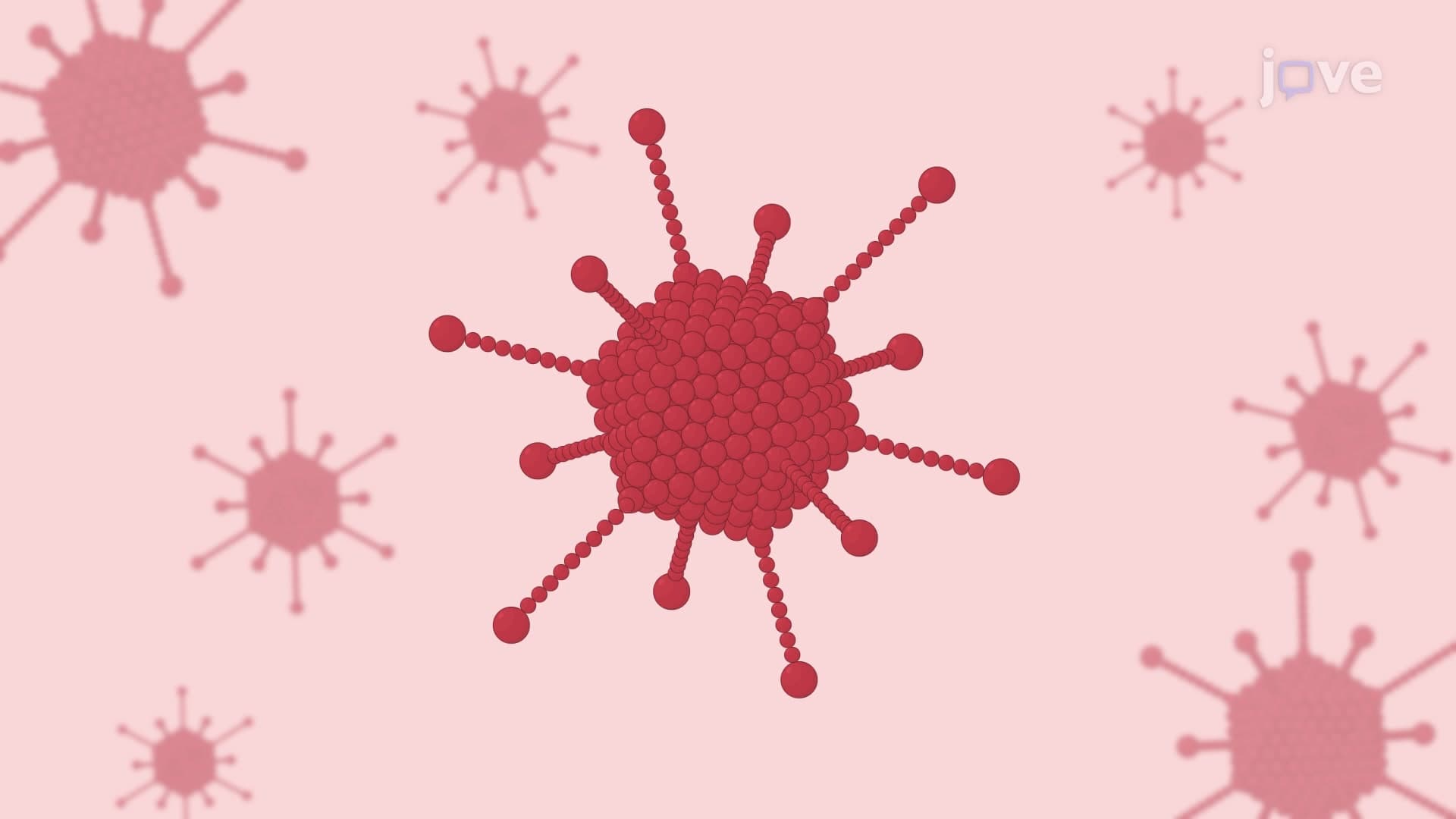 Recombinant Adeno Associated Virus Based Gene Delivery: A Technique for Transgene Delivery and Cardiac-Specific Expression in Rodent Model