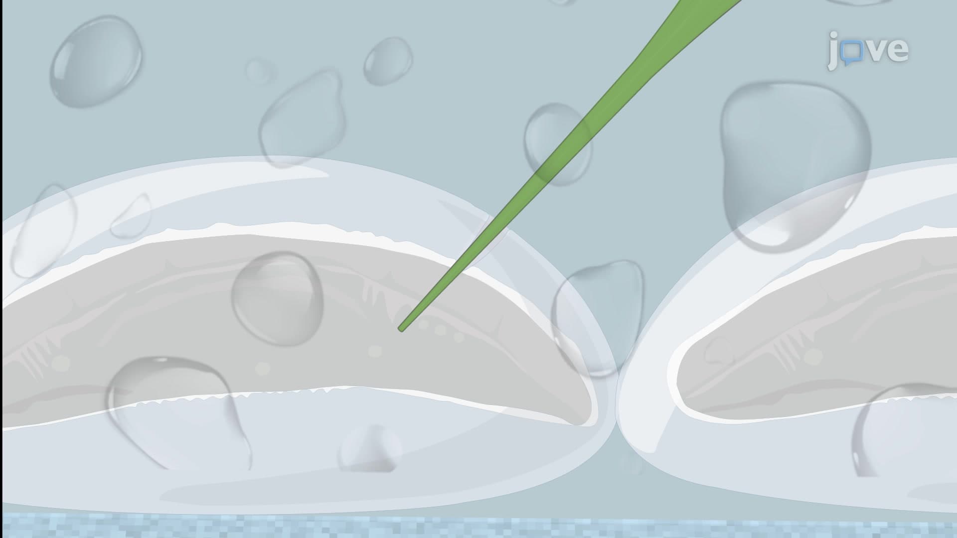 Mosquito Embryo Microinjection: A Technique to Deliver Exogenous DNA into Embryo Yolk of Anopheles Gambiae to Generate Germline Mutations