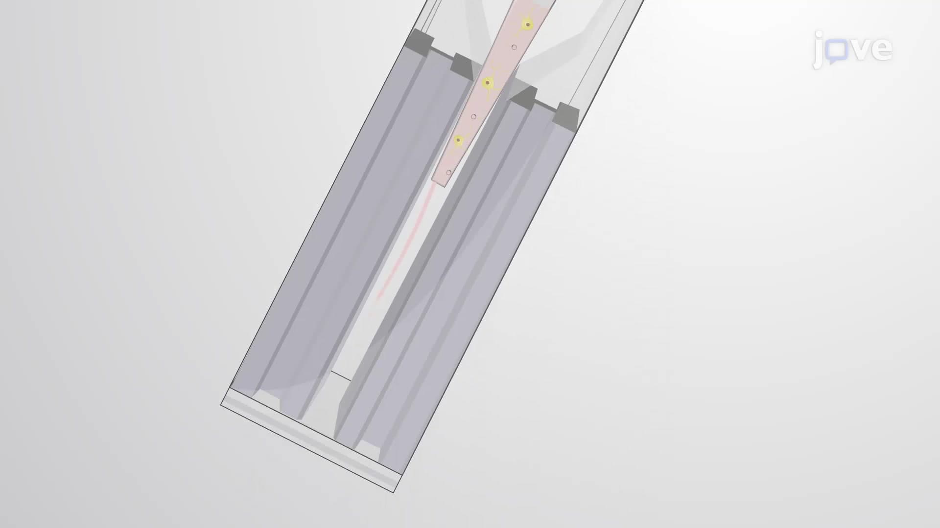 Electroporation-Mediated In Vitro Gene Delivery: An Electric Pulse Technique to Introduce Fluorescent Reporter Protein-Encoding Plasmids Into Cultured Cells