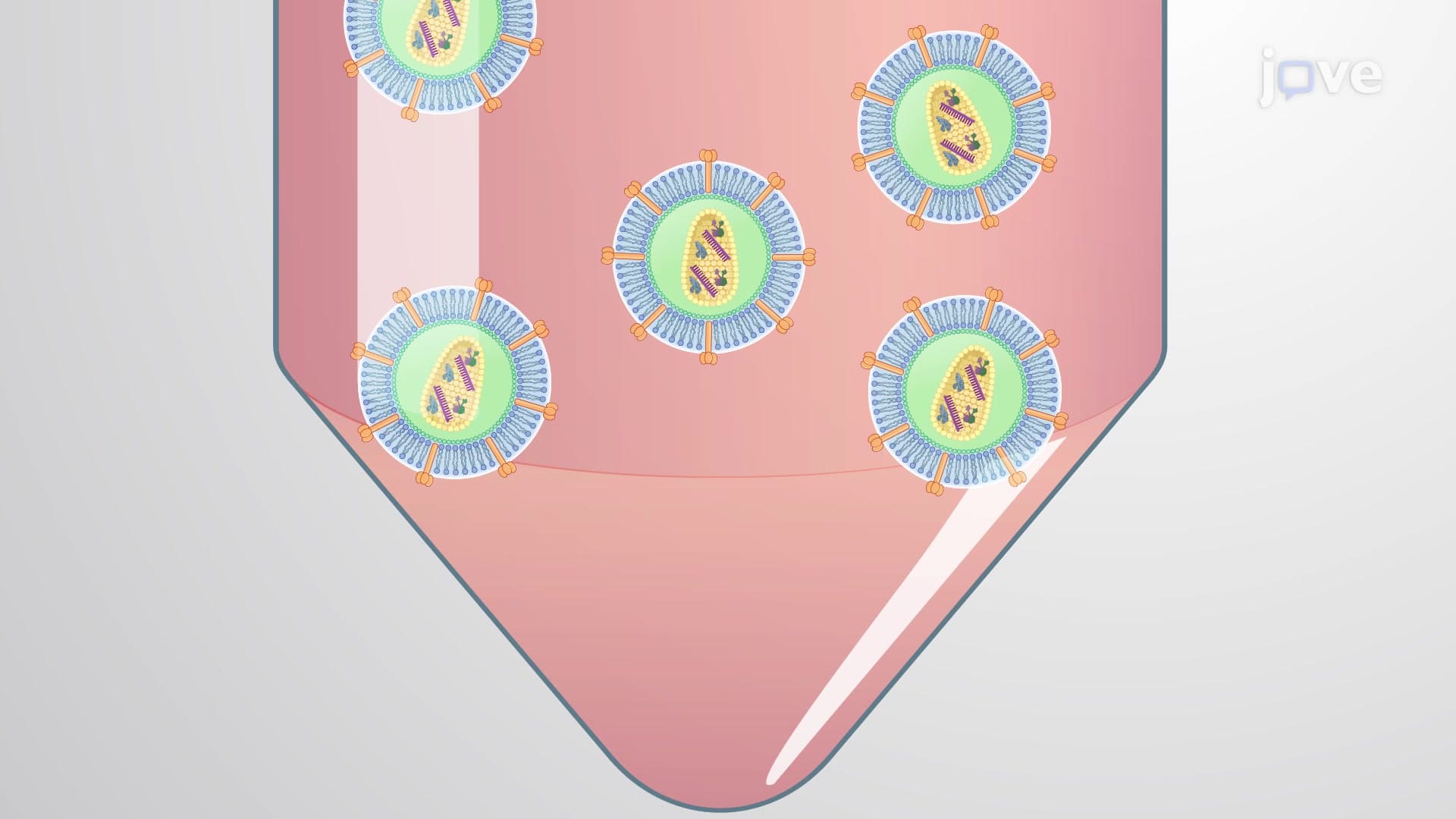 Retroviral Mediated Gene Transduction: A Gene Transfer Technique to Deliver a Transgene in Cultured Cells Using Engineered Retroviral Vectors