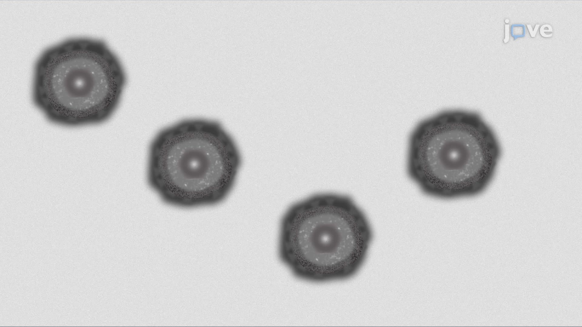Capsule-Based Negative Staining of Virus Samples on TEM Grids: A Heavy Metal Staining Technique to Visualize the Ultrastructure of Enveloped Viruses