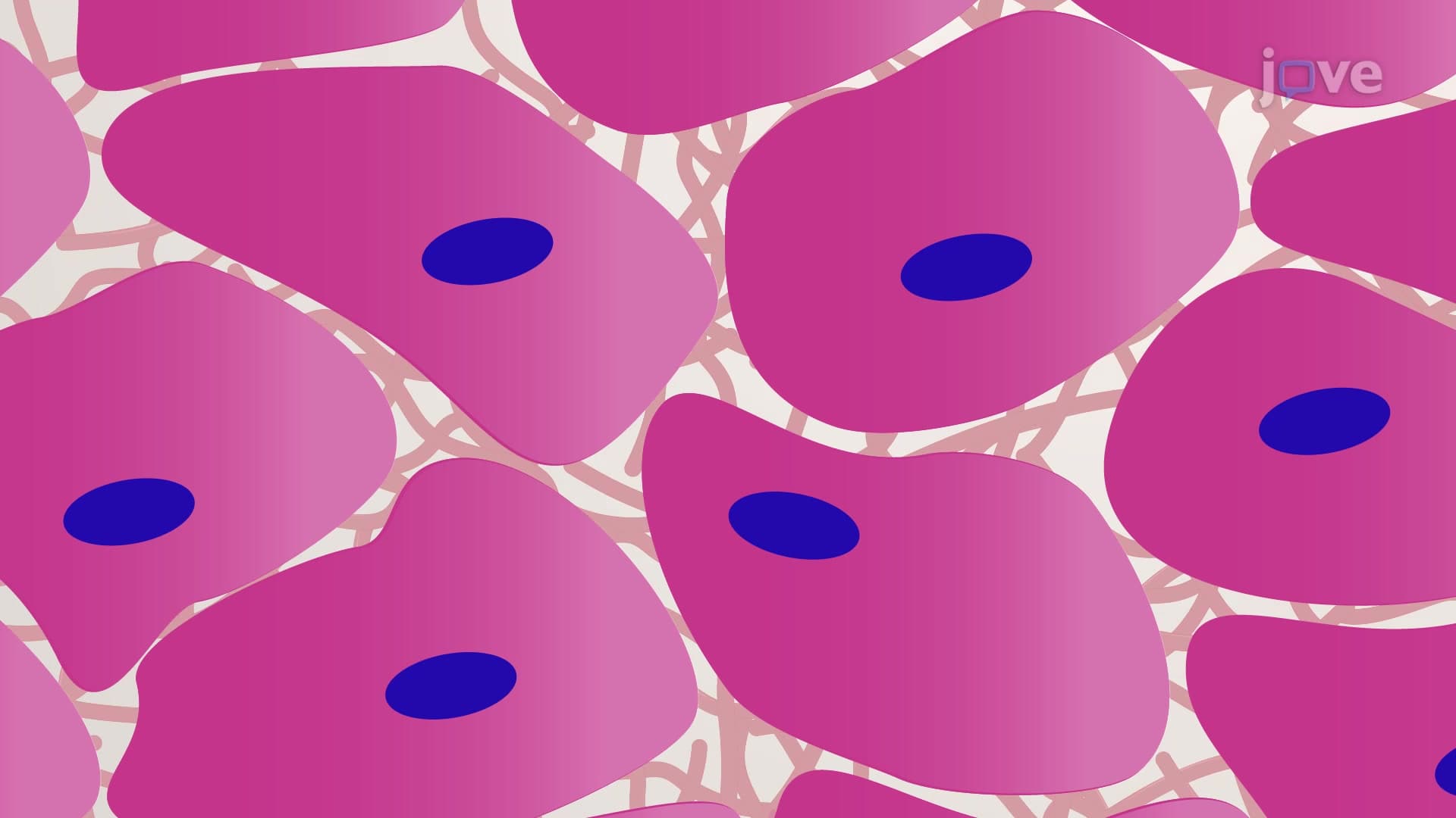 H&amp;E Staining of Paraffin-Embedded Tissue Sections: A Differential Staining Technique to Visualize Liver Tissue Sections Using Combination of Hematoxylin and Eosin Dyes