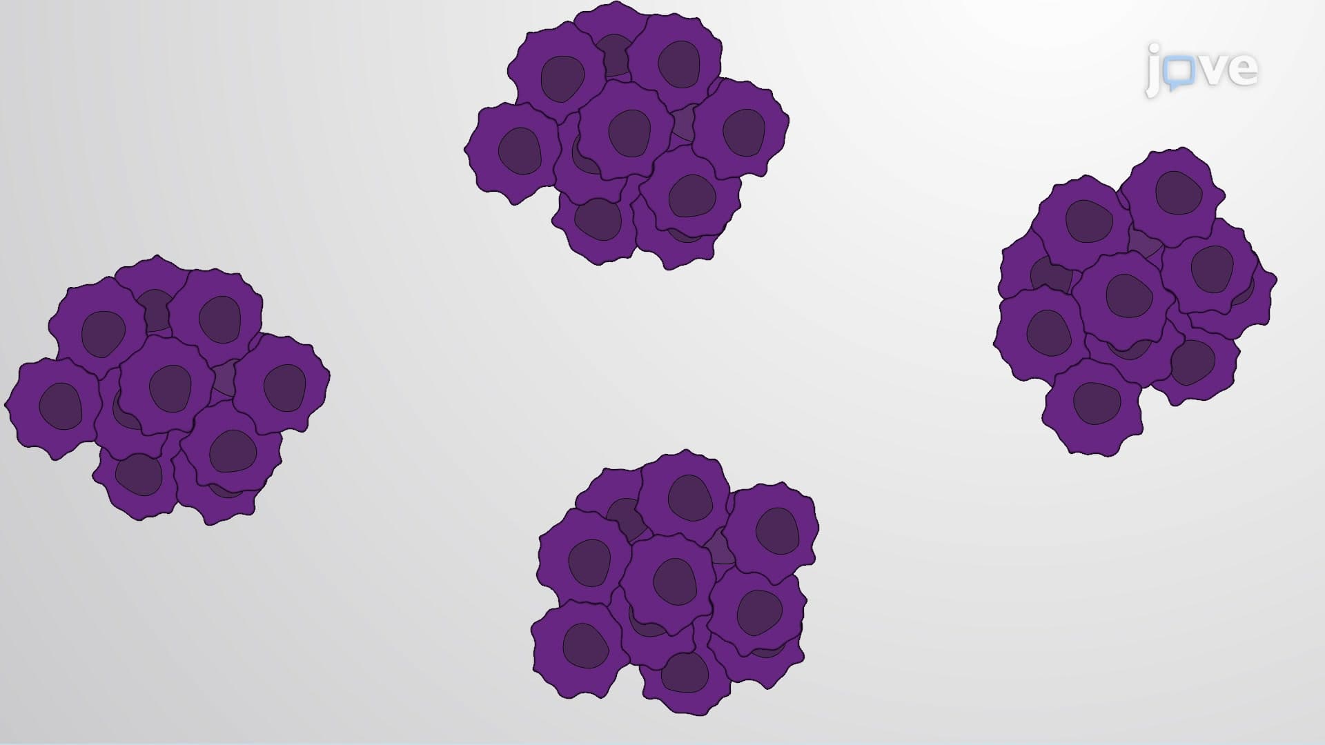Crystal Violet Staining: A Technique to Visualize Drug-Resistant Cancer Cells Using Colony Formation Assays