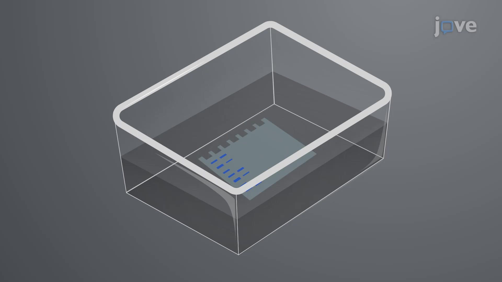 Fluorescent Silver Staining: A Technique to Visualize Total Protein in Polyacrylamide Gels