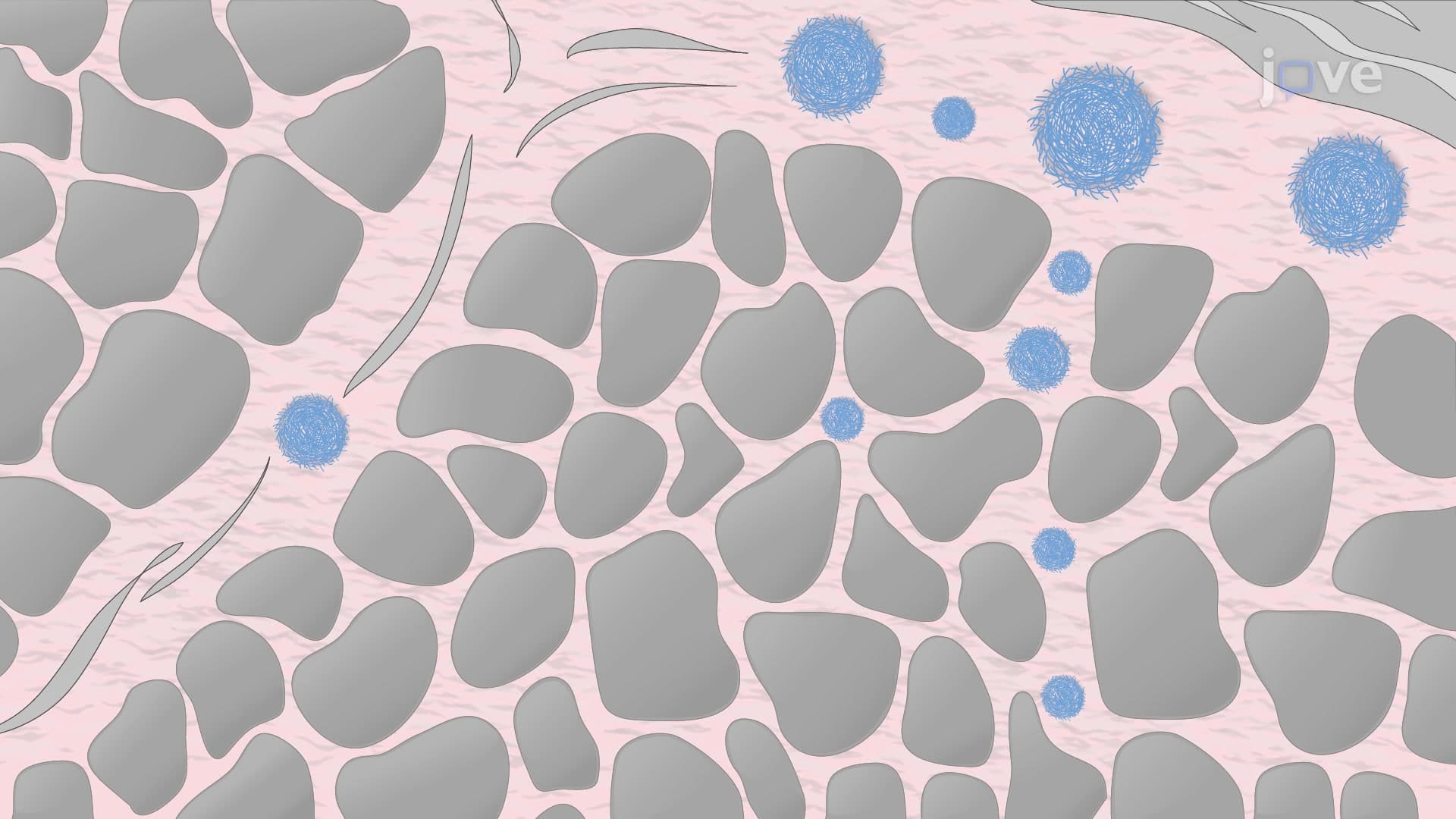 hFTAA Staining of Amyloid Deposits: A Technique to Visualize Amyloid Fibrils Using Oligothiophene-Based Dye for Fluorescence Imaging in Tissue Sections