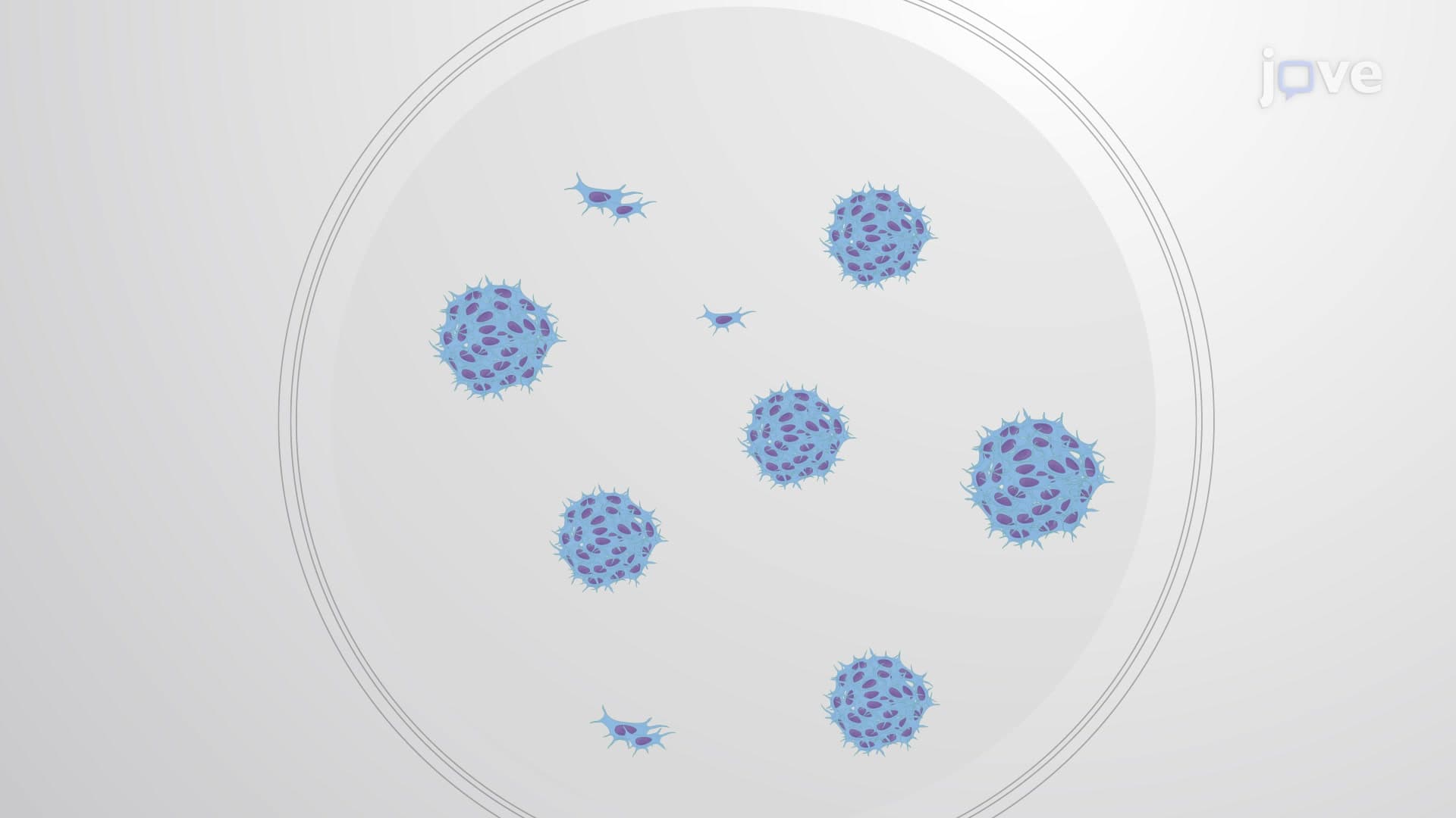 Giemsa Staining for Colony Formation Assay: An In Vitro Staining Procedure to Assess Proliferative Capability of Mesenchymal Stem Cells