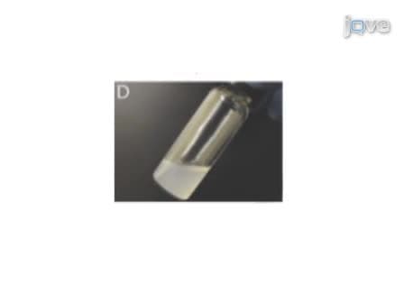 Fabrication of Biologically Derived Injectable Materials for Myocardial Tissue Engineering