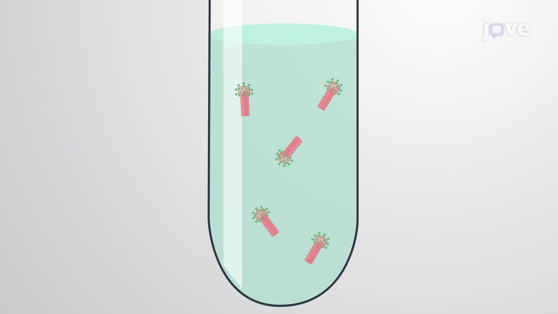 Heparin Affinity Chromatography-Based Baculovirus Purification: A Technique to Isolate Baculovirus From Insect Cell Supernatant