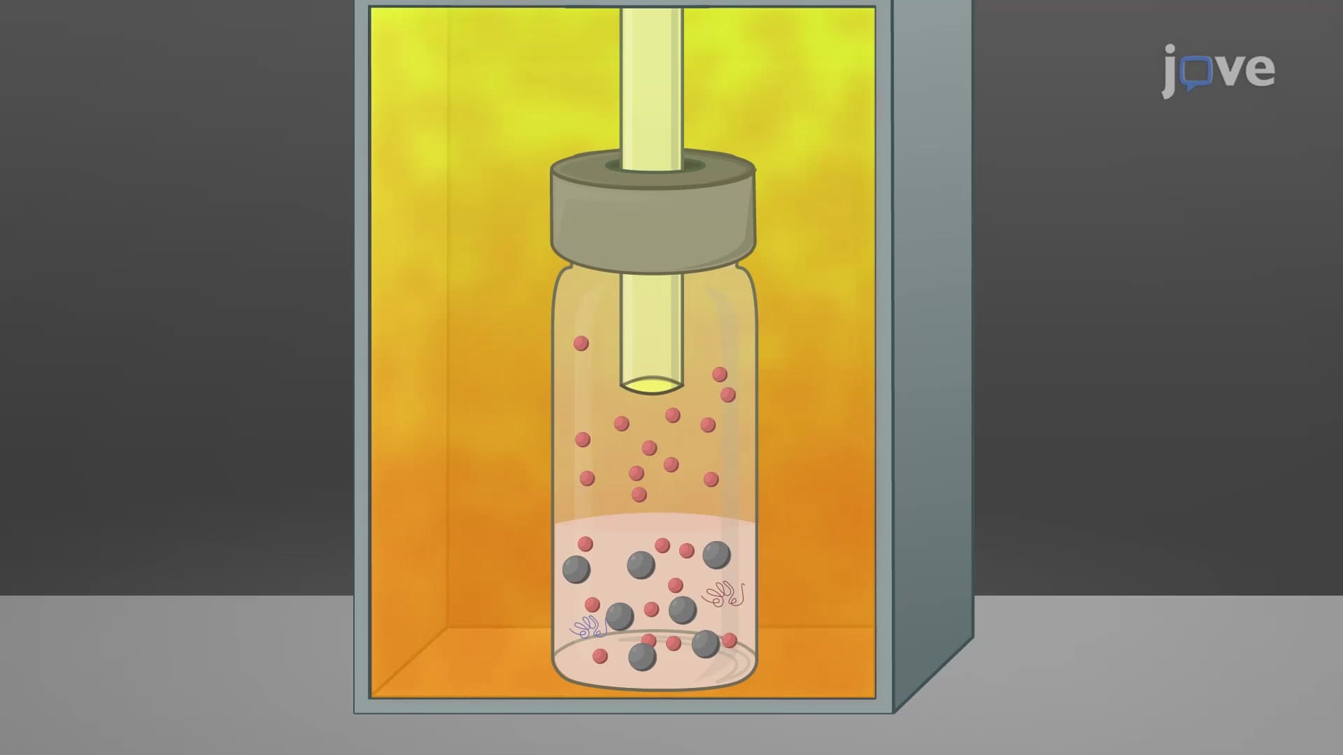 Headspace Gas Chromatography: A Technique to Assess Ethanol Concentration in Zebrafish Embryos