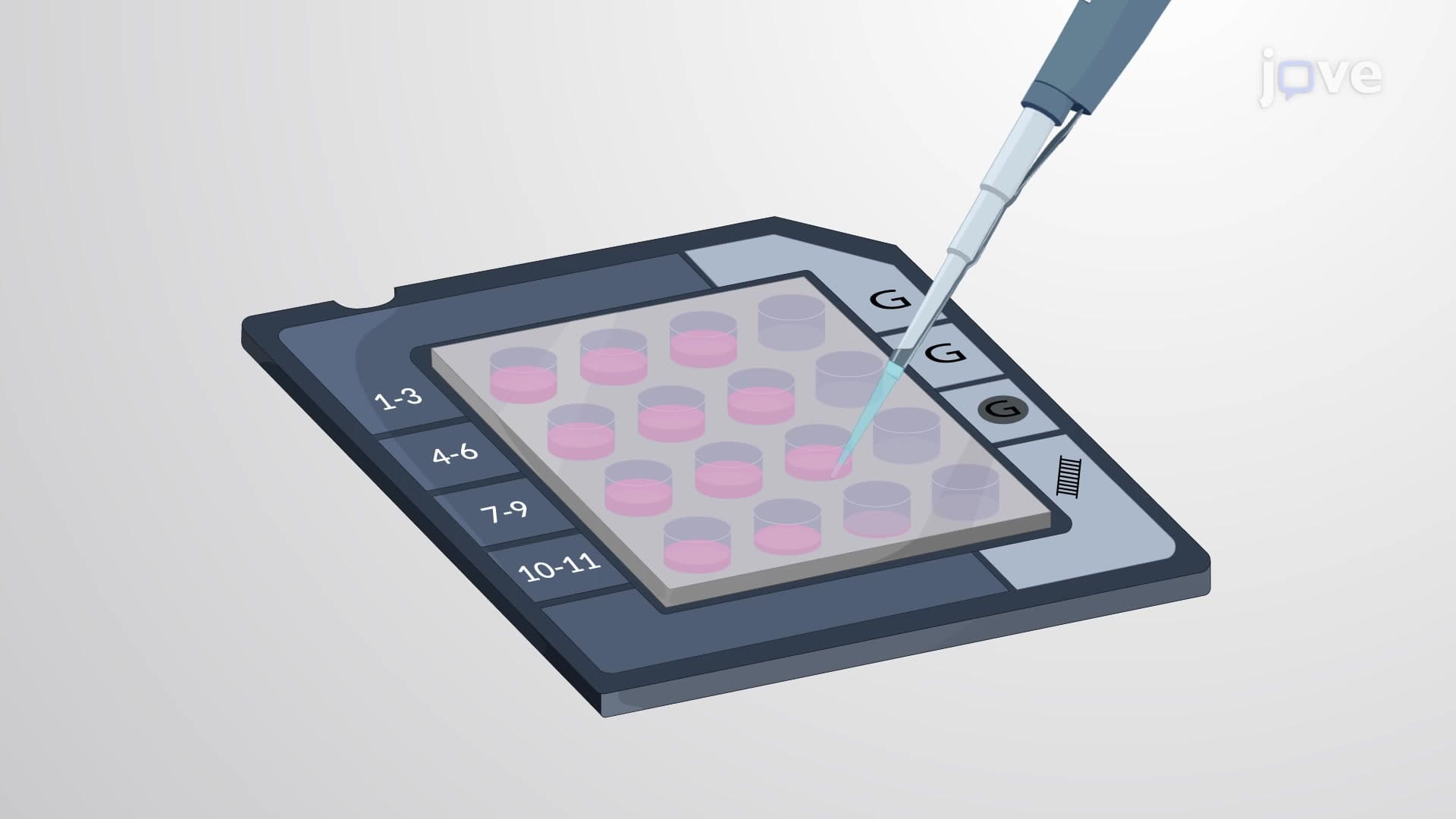 Microfluidic Capillary Electrophoresis for Fragment Sizing of PCR Products: A Microchip-Based Electrophoretic Separation Technique to Separate DNA Fragments Based on Size