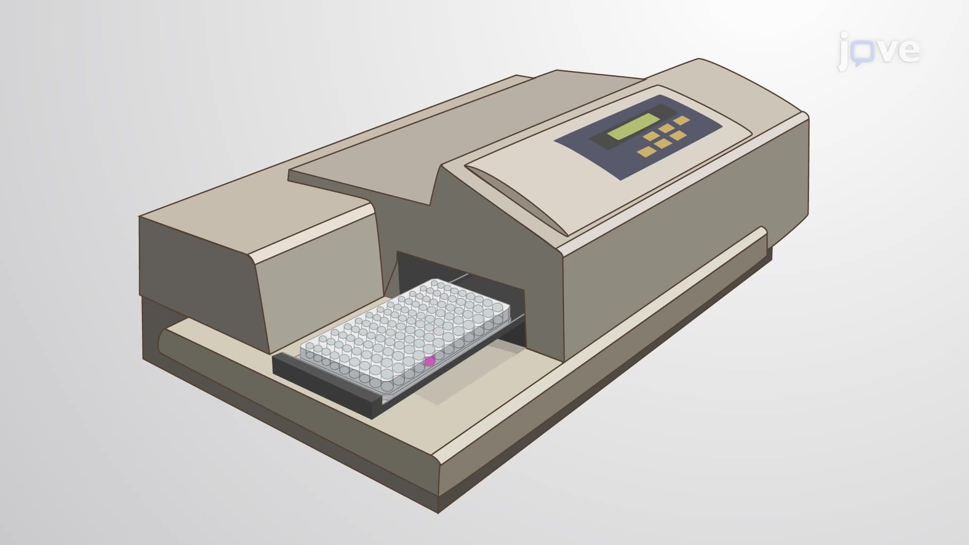 Bathophenanthroline Sulfonate-Based Colorimetric Assay: A Simple and Rapid Method for Quantitation of Non-Heme Iron in Mouse Liver Tissue