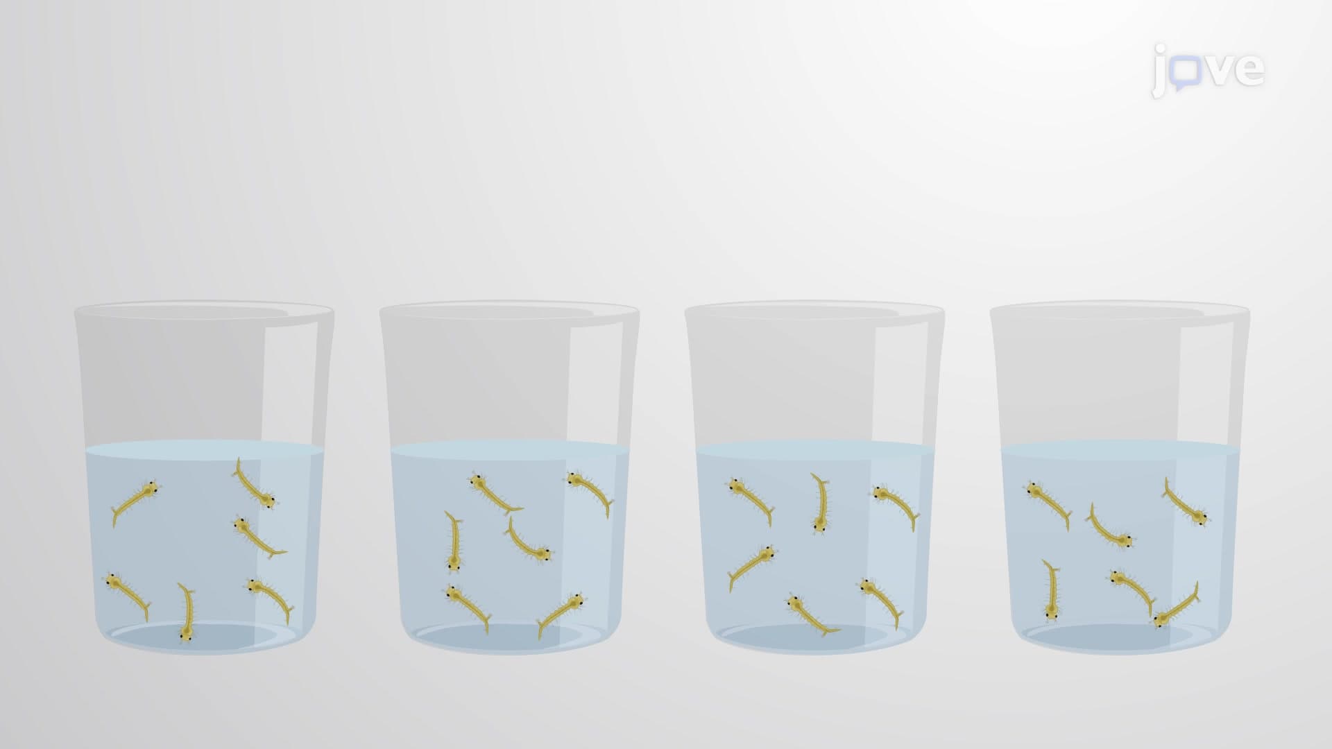 Larval Contact Assay: A Procedure to Evaluate Mosquito Larval Mortality following Direct Contact with Test Larvicidal Compound
