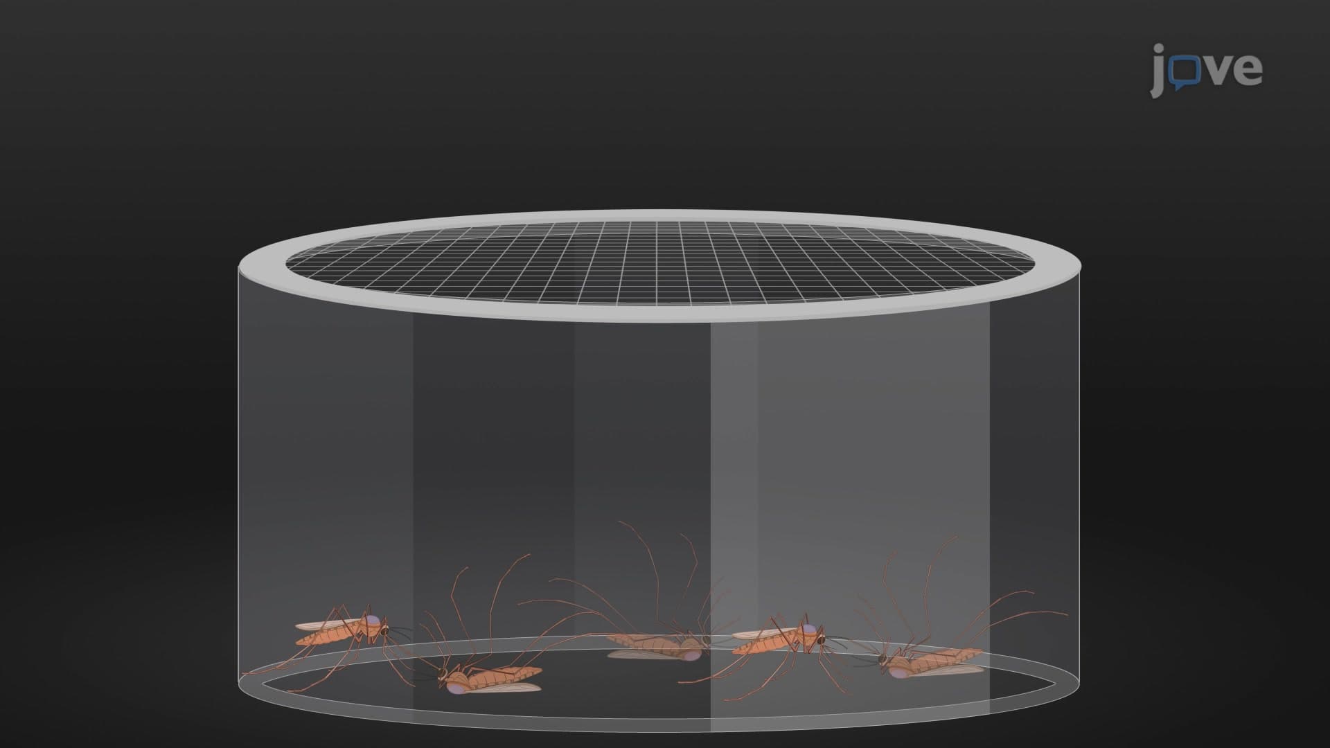 Topical Testing Assay: A Technique to Evaluate the Insecticidal Potential of Dopamine Receptor Antagonists on Adult Female Mosquitoes by Topical Application