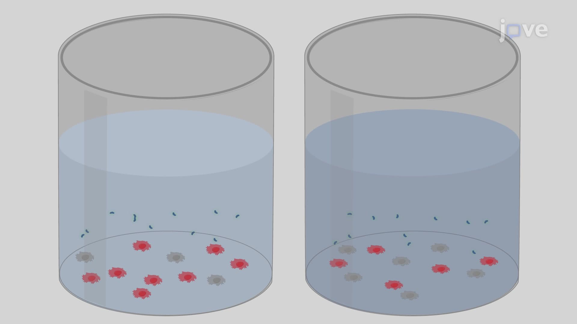 Protein Aggregate Formation Assay: A Method to Detect and Quantify Protein Aggregation in Cultured Cells upon Induction by Proteasome Inhibitor