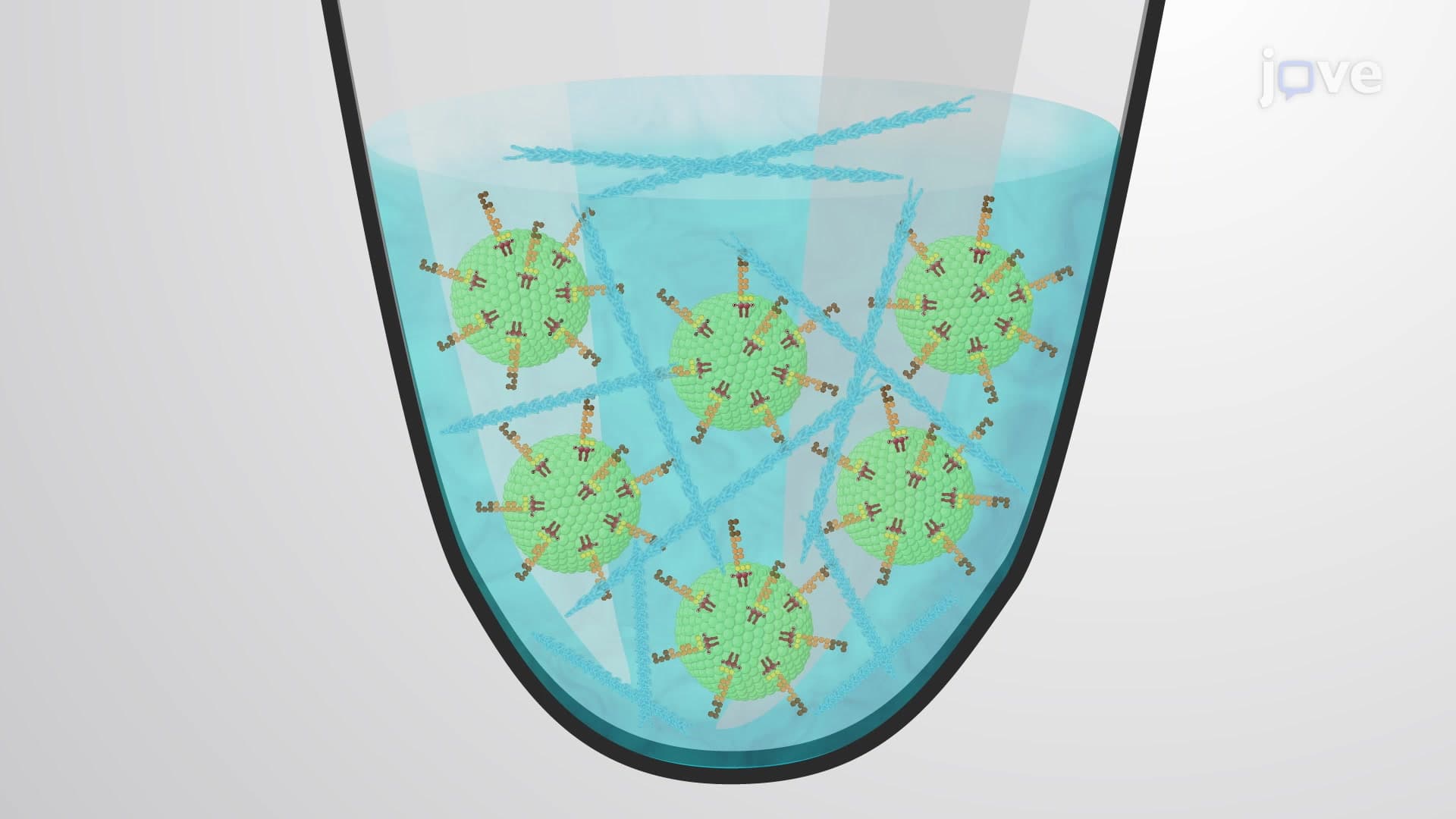 Gel-Clot Limulus Amoebocyte Lysate Assay: A Method for Bacterial Endotoxin Detection in Nanoparticle Formulations