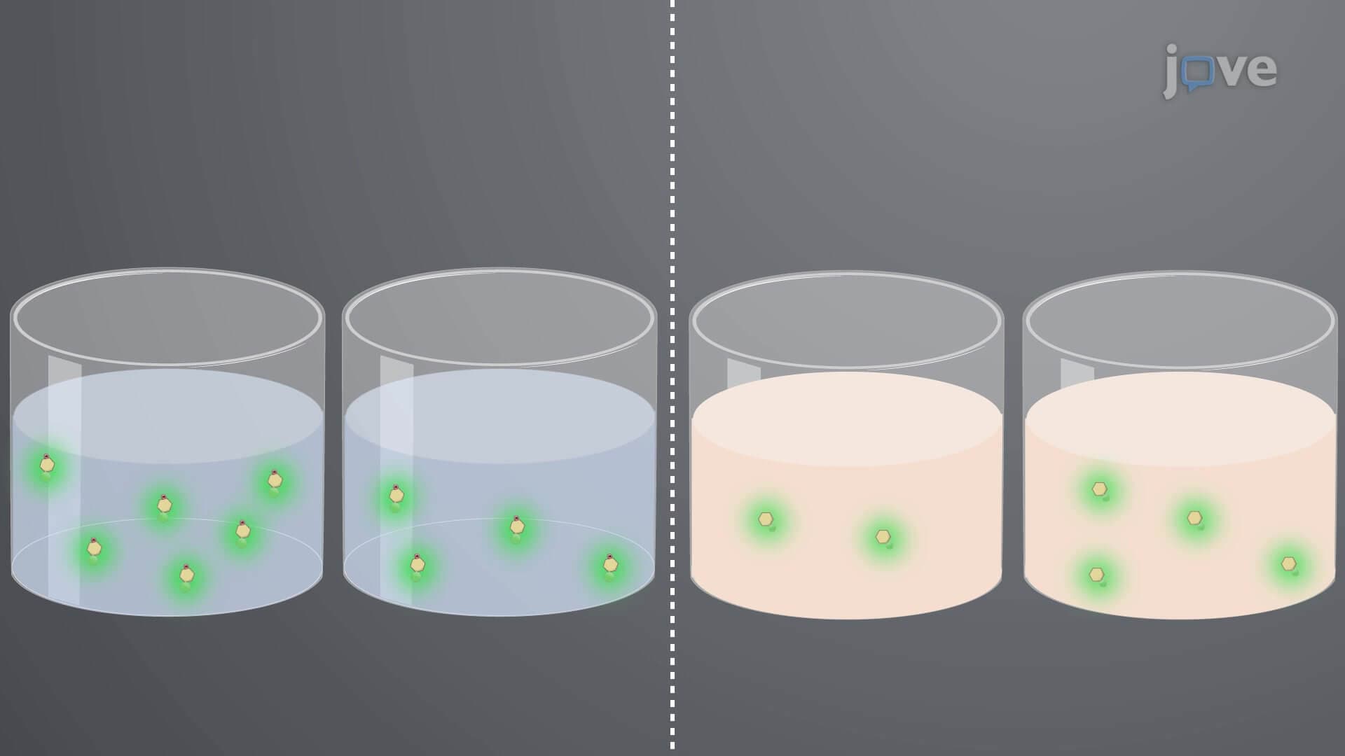 In Vitro Glucose Depletion Assay: A Fluorescence-Based Method to Quantify Cellular Glucose Uptake via Extracellular Glucose Depletion Measurement