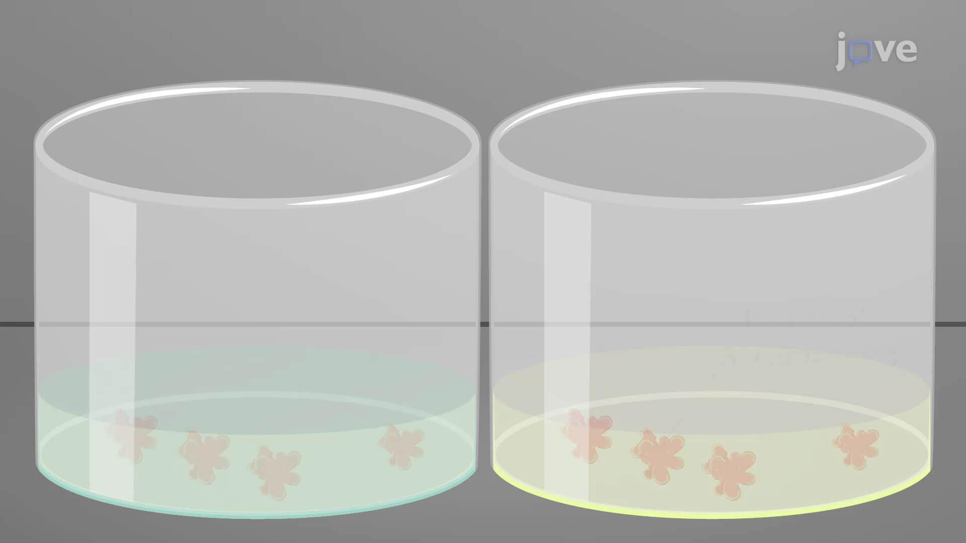 Flow Cytometry Assay to Quantify Oxidative Stress: An Assay to Quantify Reactive Oxygen Species in Intestinal Organoids Using Fluorogenic Probes