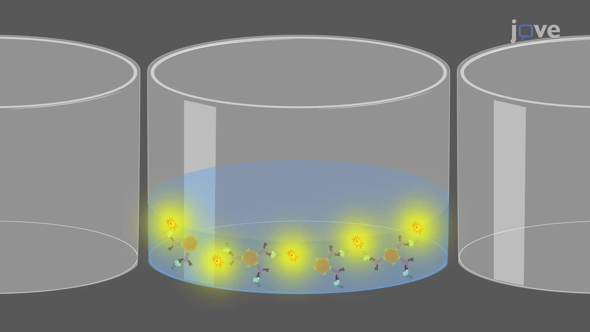 Bioreporter Assay: A Sensitive Technique using a Bioluminescent Reporter System to Detect SARS-CoV-2 Antibodies