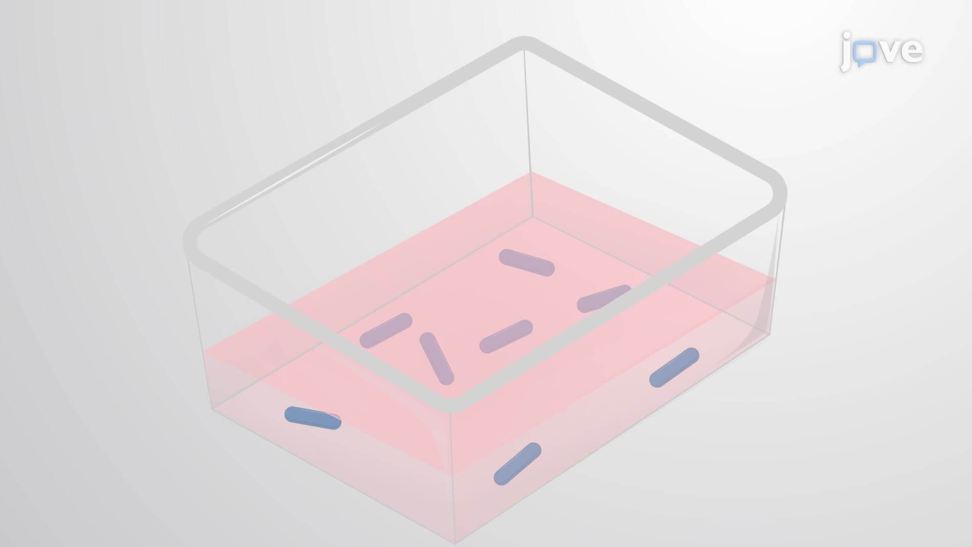 In Vitro Persister Assay: A Method to Evaluate the Effect of Osmolytes on Bacterial Persistence
