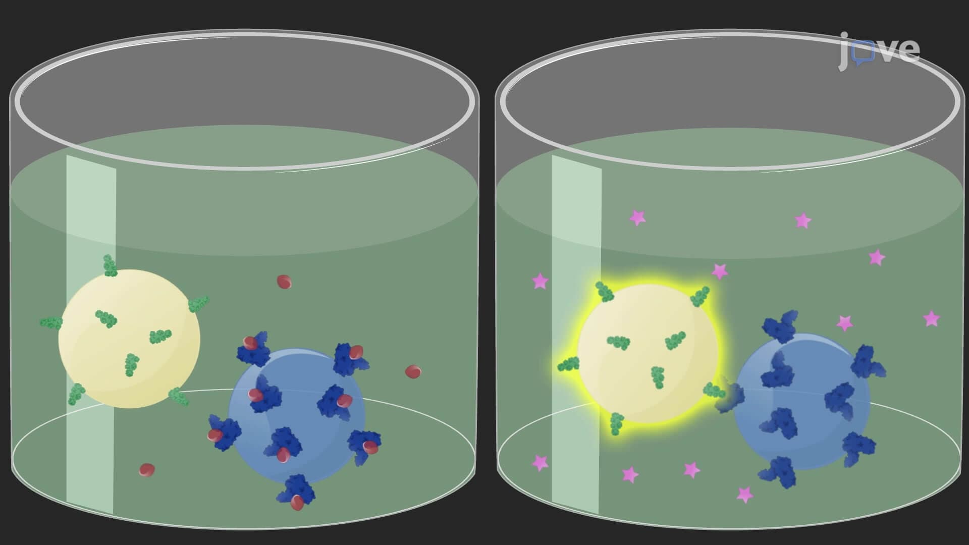 Amplified Luminescent Proximity Homogeneous Assay: A Bead-Based Proximity Assay to Screen Small Molecules Inhibiting Protein-Protein Interactions