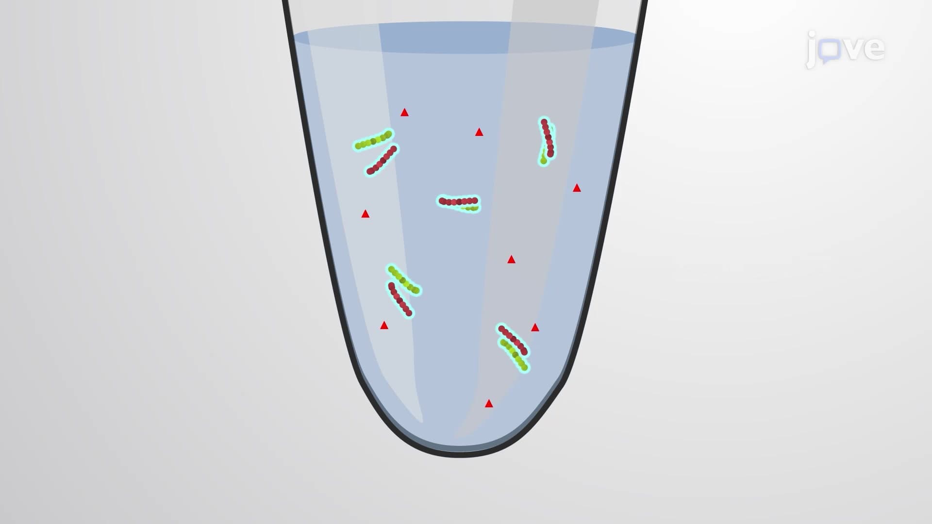 Soluble Protein Assay to Quantify Soluble Protein Content in Plant Tissues