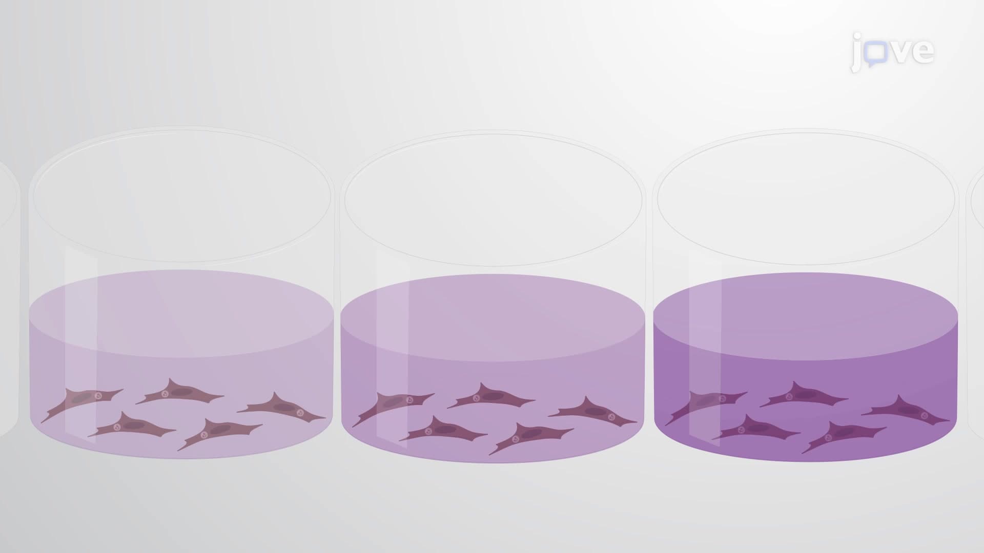 Luciferase Assay to Study Efficacy of Antiparasitic Chemicals Against Parasites
