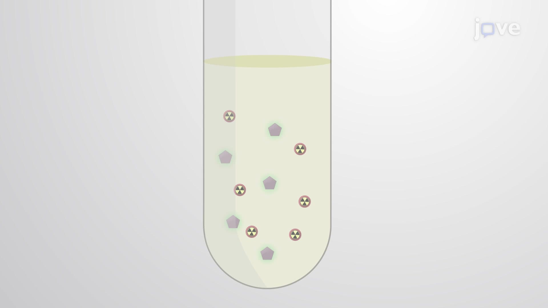 Radiolabeled Amino Acid Uptake Assay to Quantify Cellular Uptake of Amino Acids