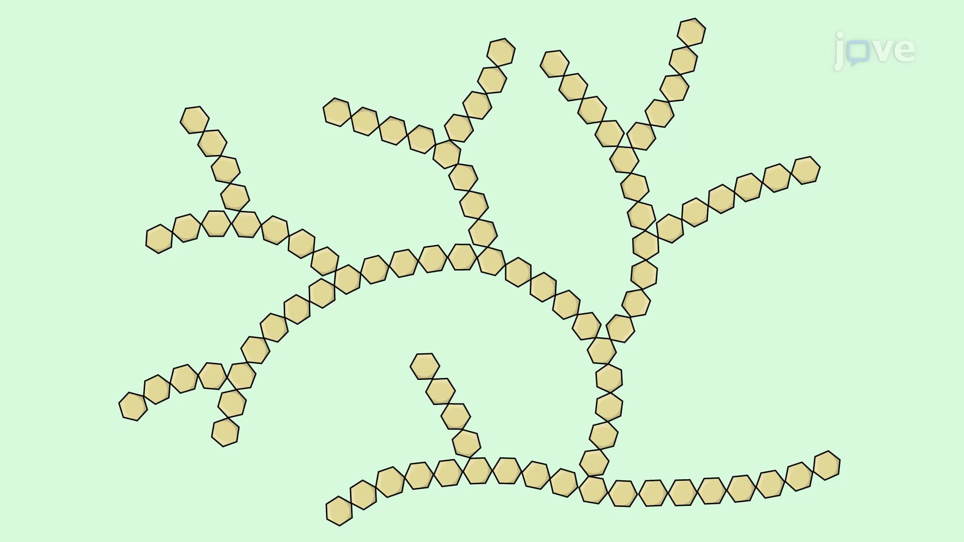 Glycogen Branching Assay to Measure the Degree of Glycogen Branching