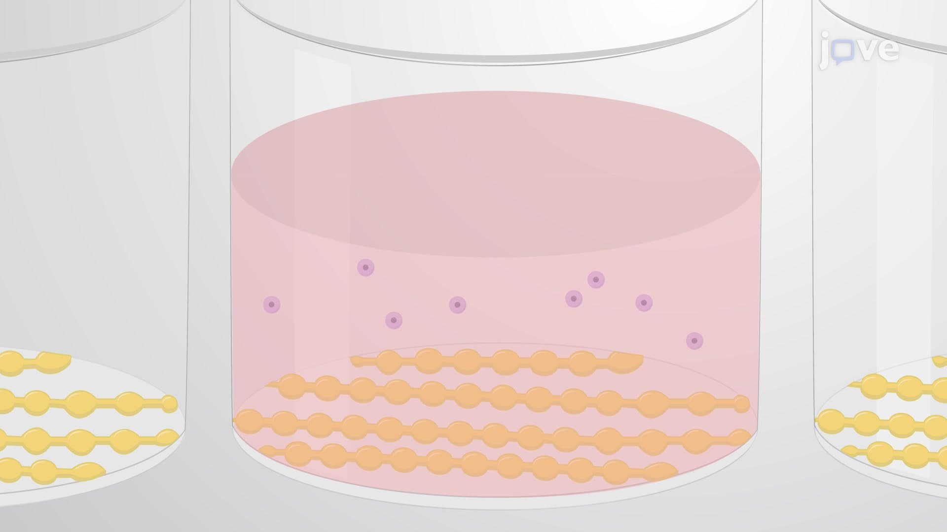 Cellular Impedance-Based Analysis for Monitoring of Cellular Processes in Real-Time