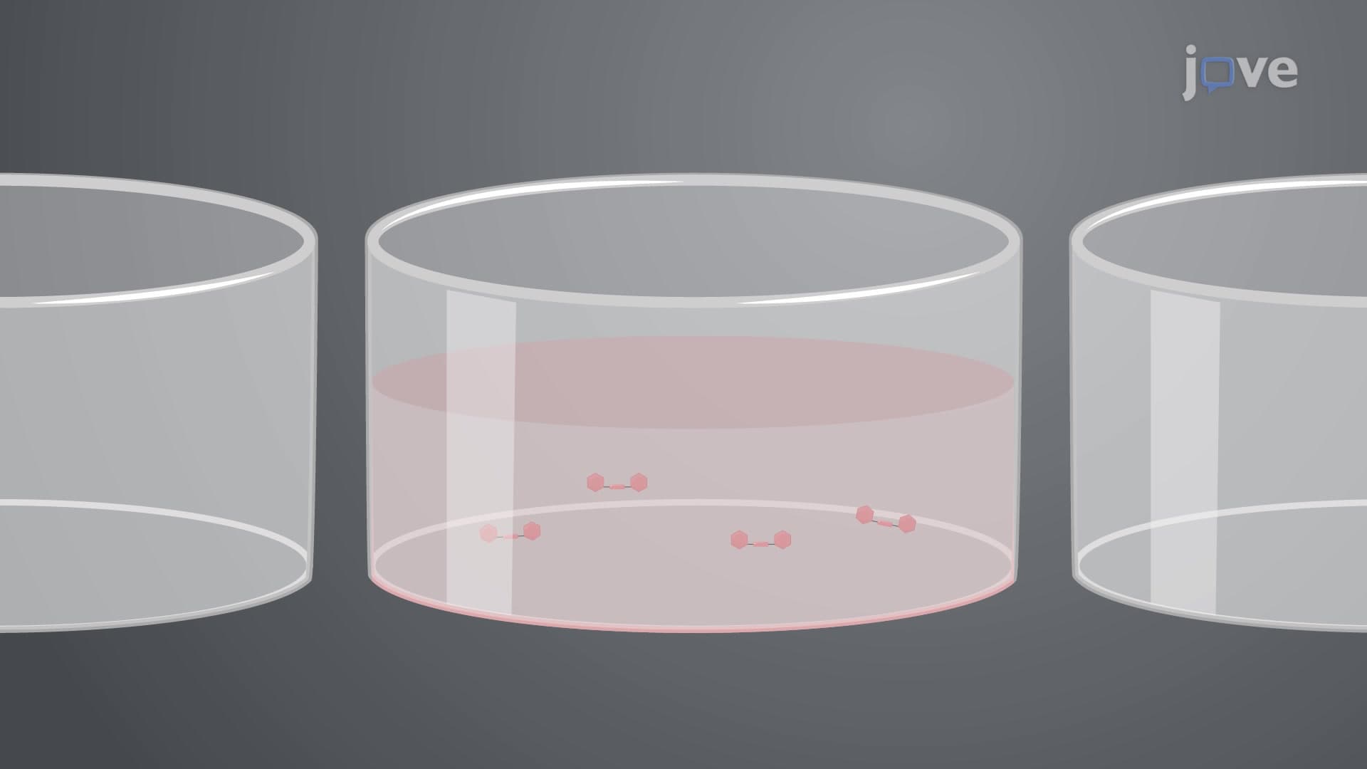 Thiobarbituric Acid-Reactive Substances Assay to Assess Oxidative Stress in Human Serum