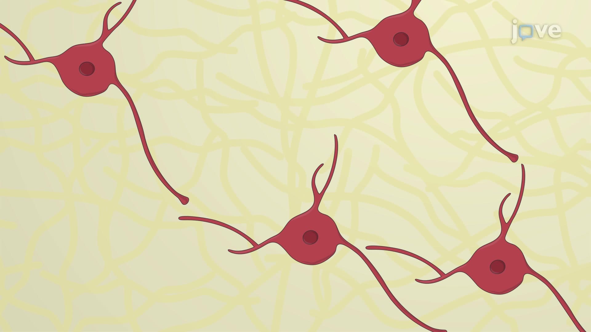 Luminescence-Based Assay to Assess Neurotoxicity of Test Compounds on Neurons