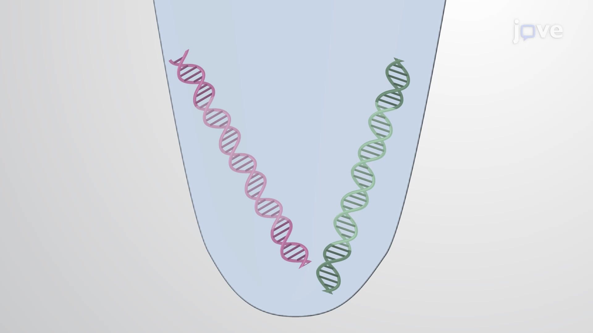 Duplex Digital PCR for Simultaneous Quantification of Dual Genetic Markers