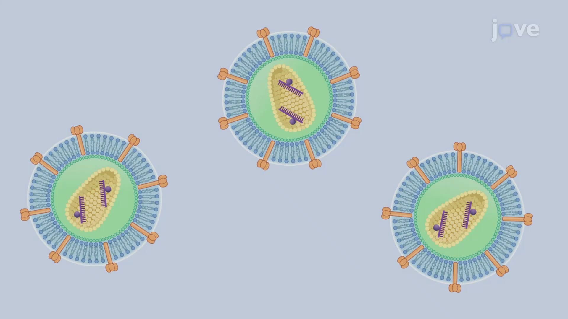 Real-Time Quantitative Reverse Transcription PCR for Diagnosing Viral Infections