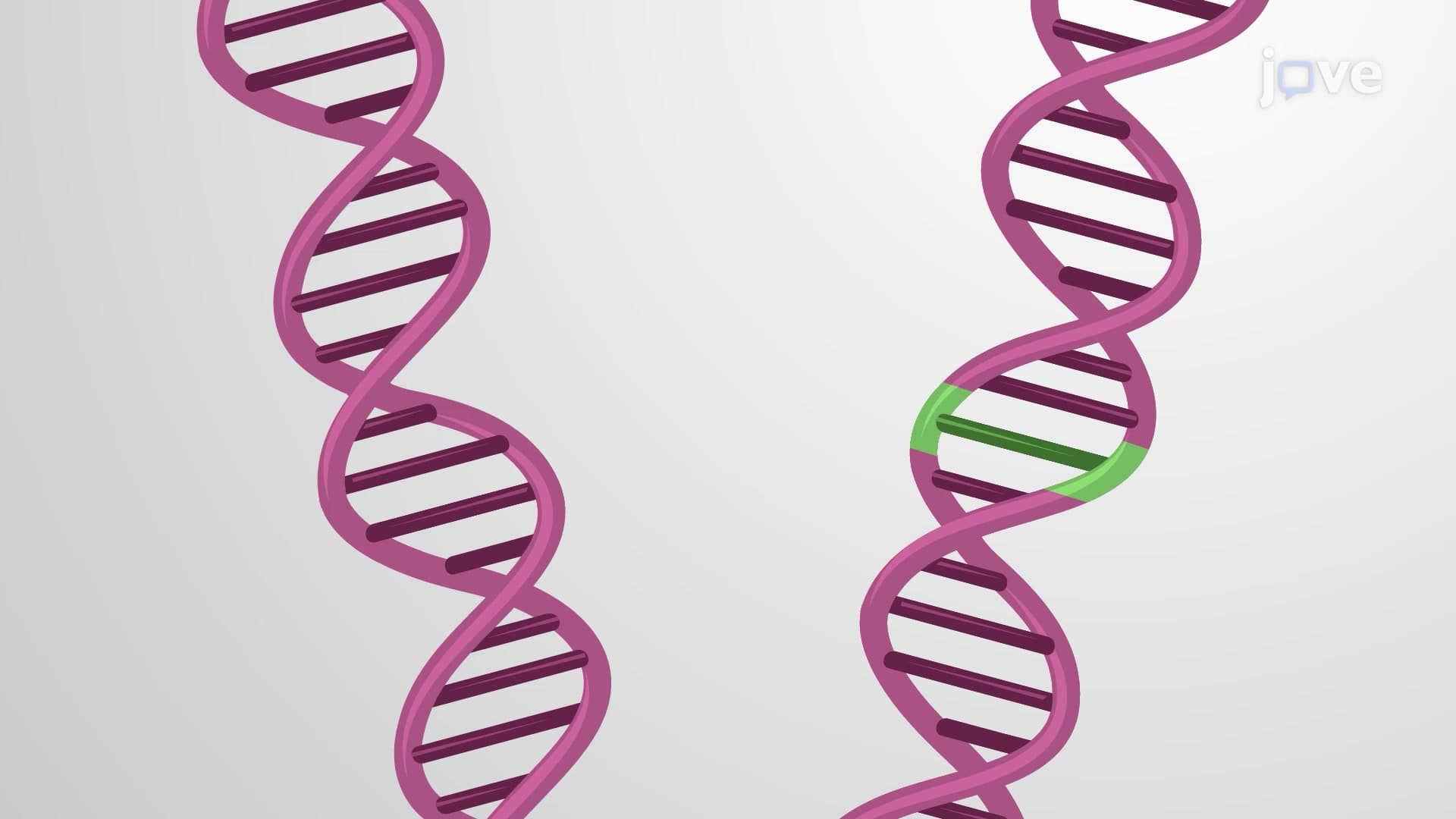 Chip-in-a-Tube-Based Digital PCR for Quantification of Single Nucleotide Variants