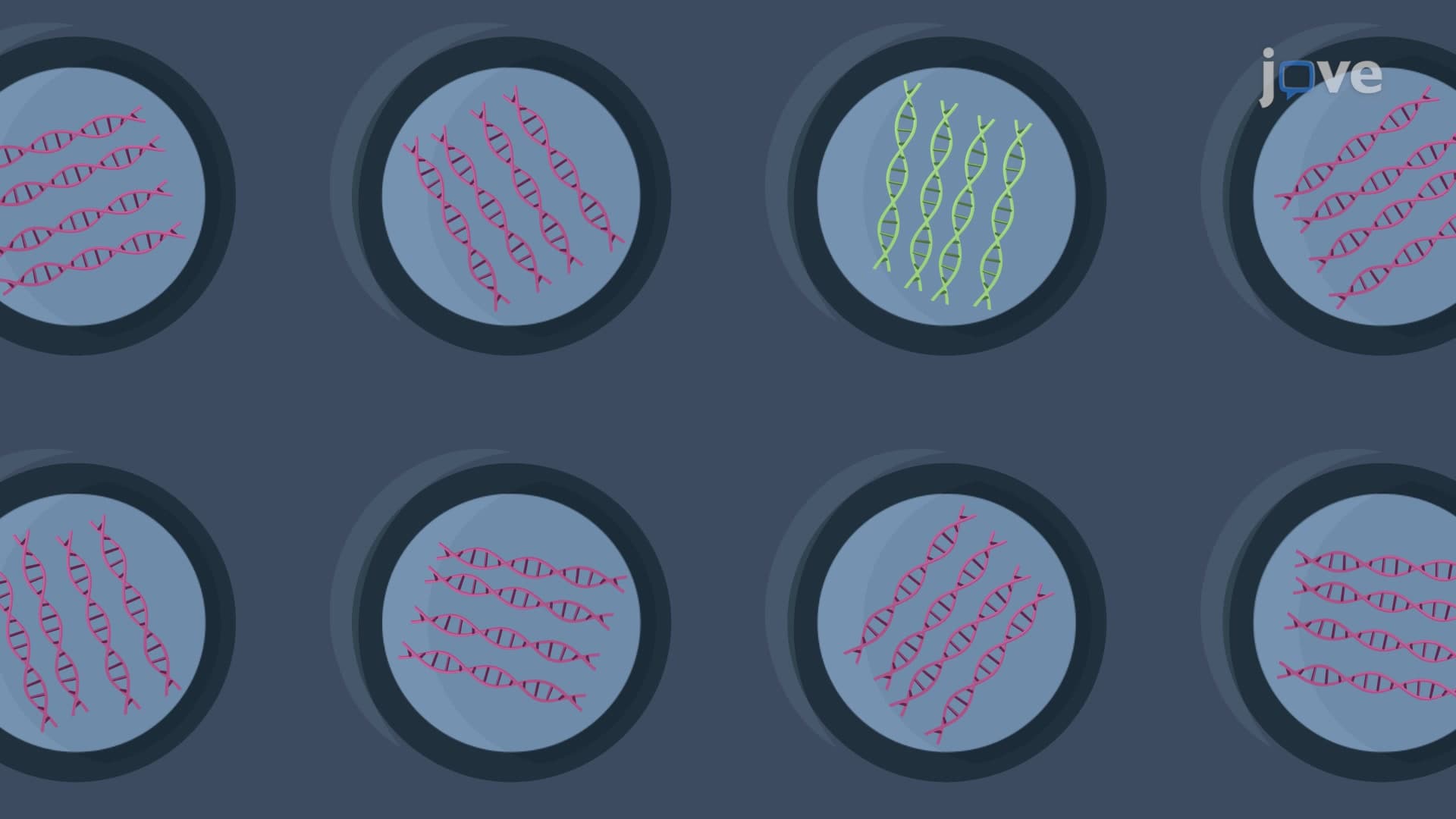 Chip-Based Digital PCR to Detect Rare Transcript Variants Using a Nanofluidic Chip