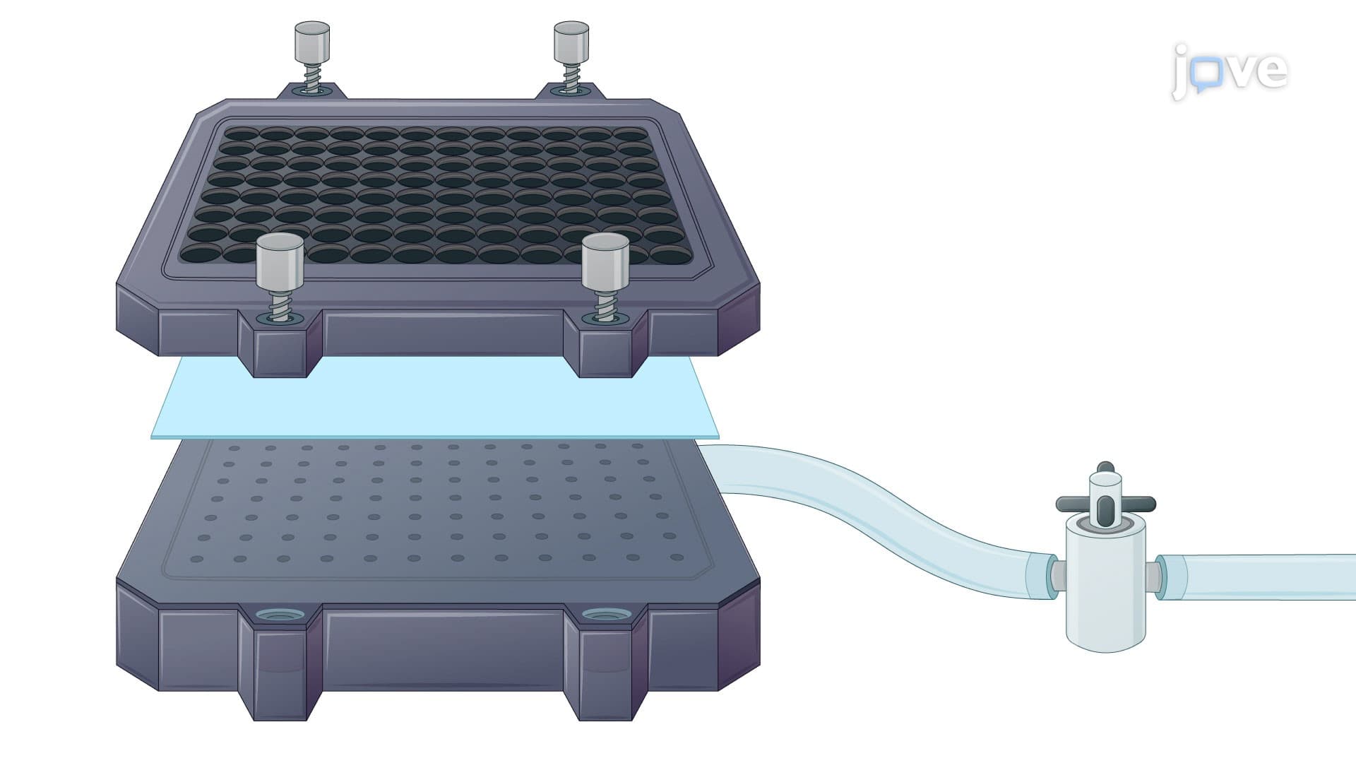 Dot Blot Assay to Quantify Viral Genome