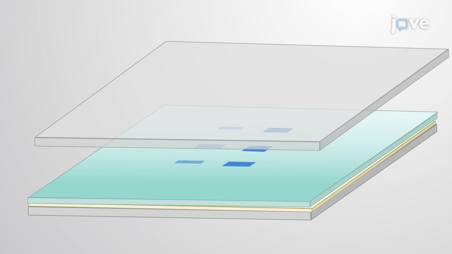 Quantitative Western Blotting to Estimate Protein Expression Levels
