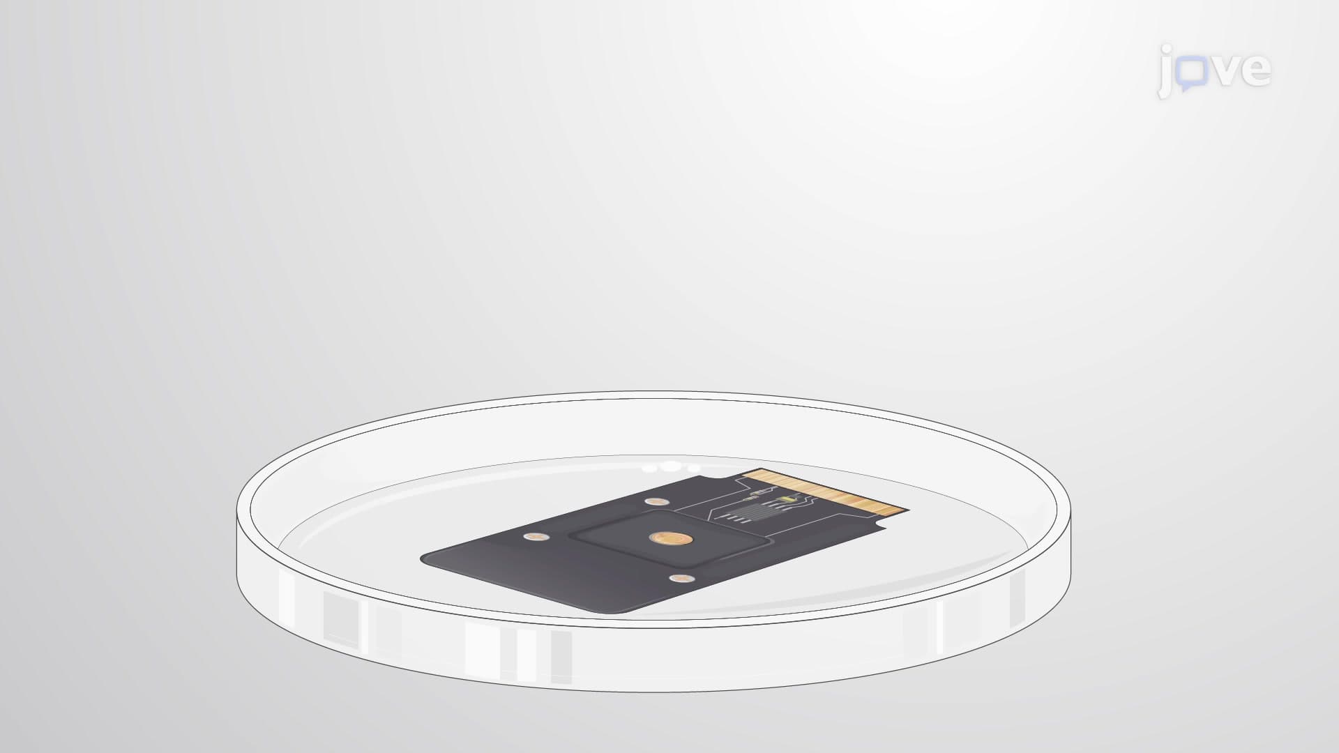 Graphene Biosensor-Based Field-Effect Biosensing to Detect Protein-Protein Interactions