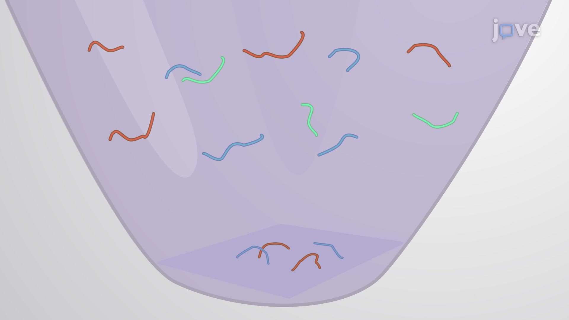On-Membrane Protein Digestion to Prepare Co-Immunoprecipitated Proteins for Interaction Studies