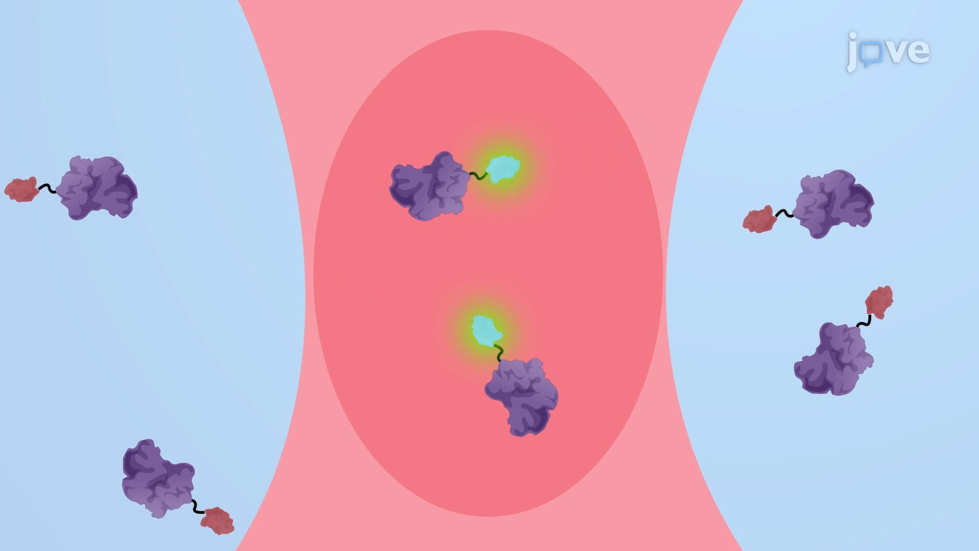 Fluorescence Fluctuation Spectroscopy to Study Protein Homo-Oligomerization