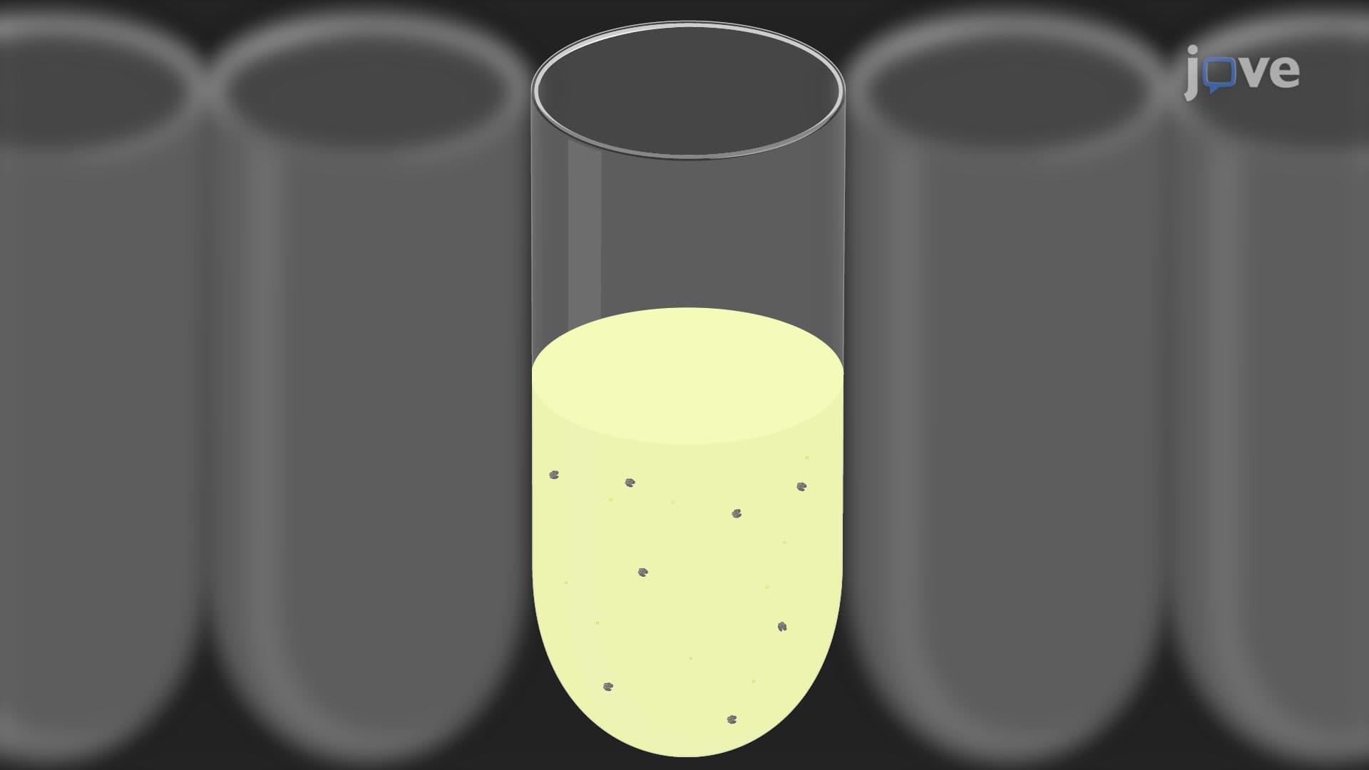 Modified Yeast-One Hybrid Assay to Detect Heteromeric Protein Complex-DNA Interactions