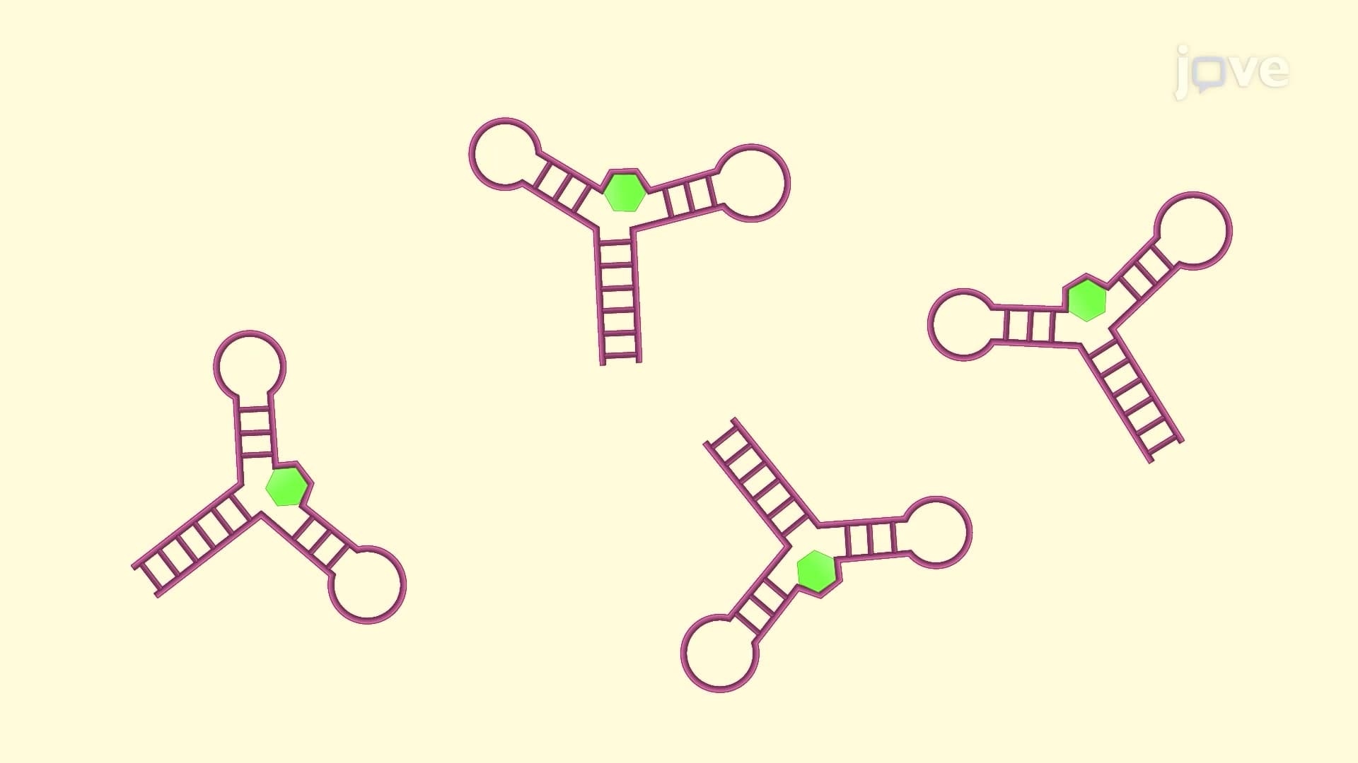 Differential Scanning Calorimetry to Study DNA Aptamer-Thermolabile Ligand Interaction