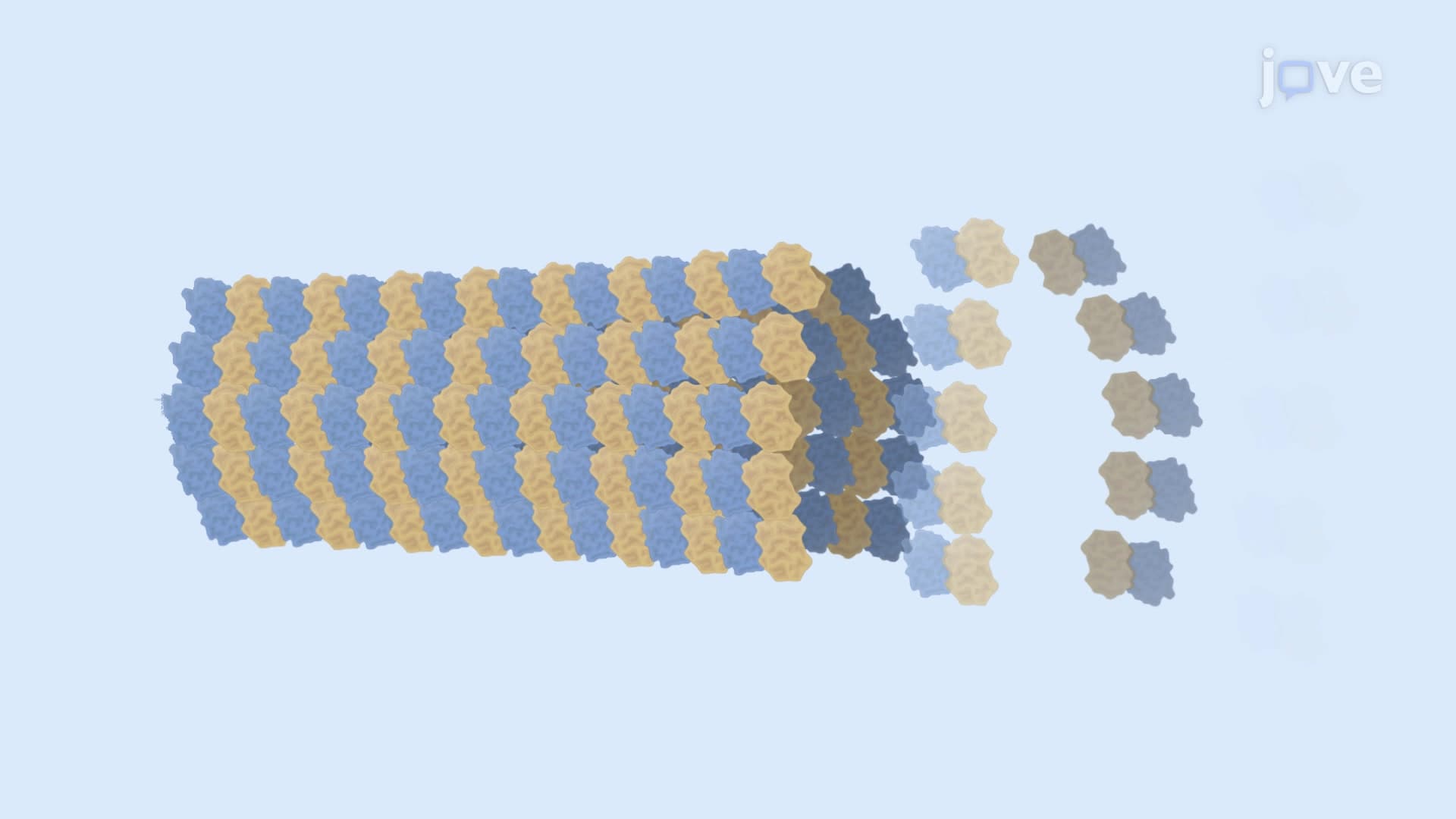Interference Reflection Microscopy for Label-Free Visualization of Microtubule Dynamics
